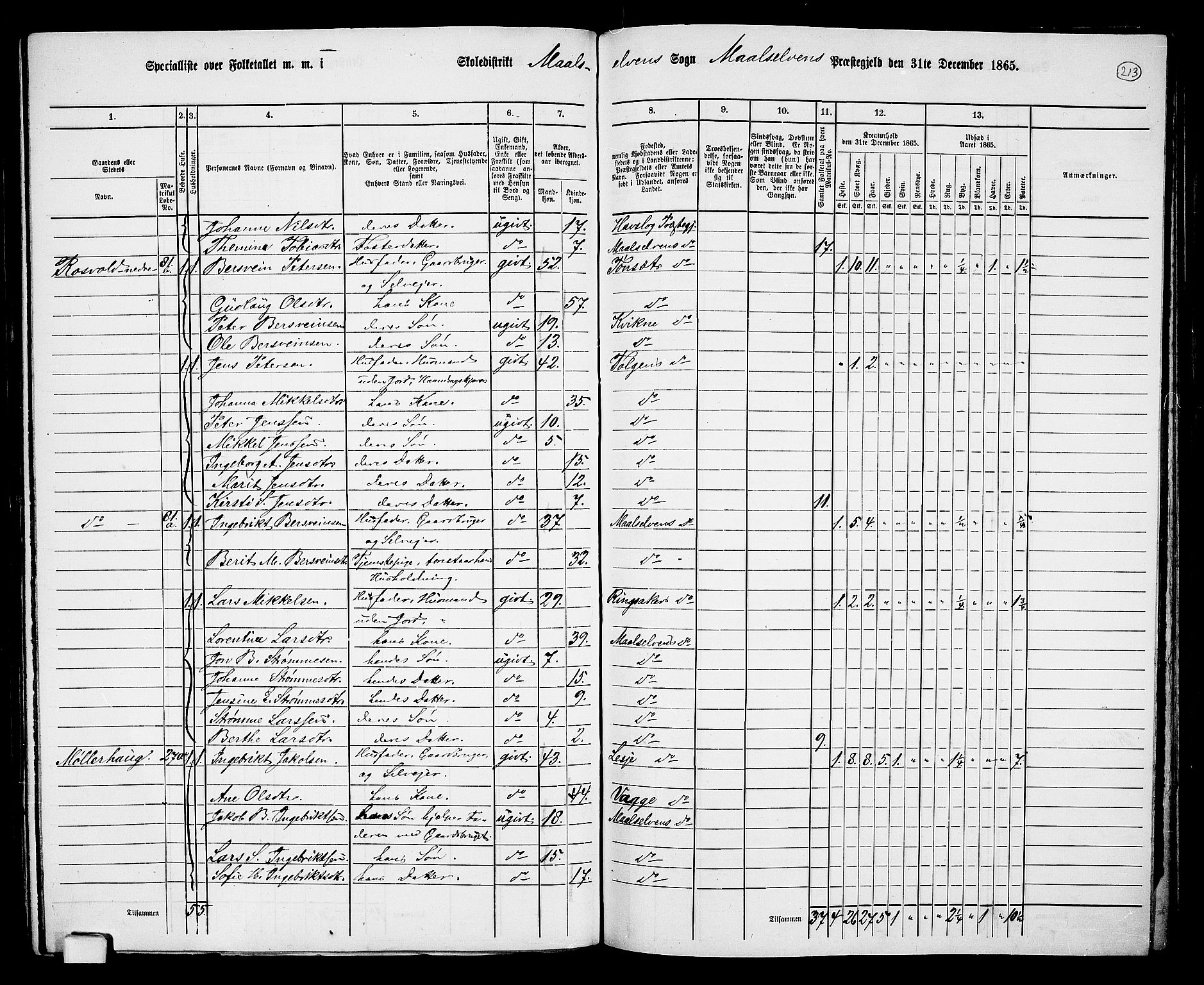 RA, 1865 census for Målselv, 1865, p. 41