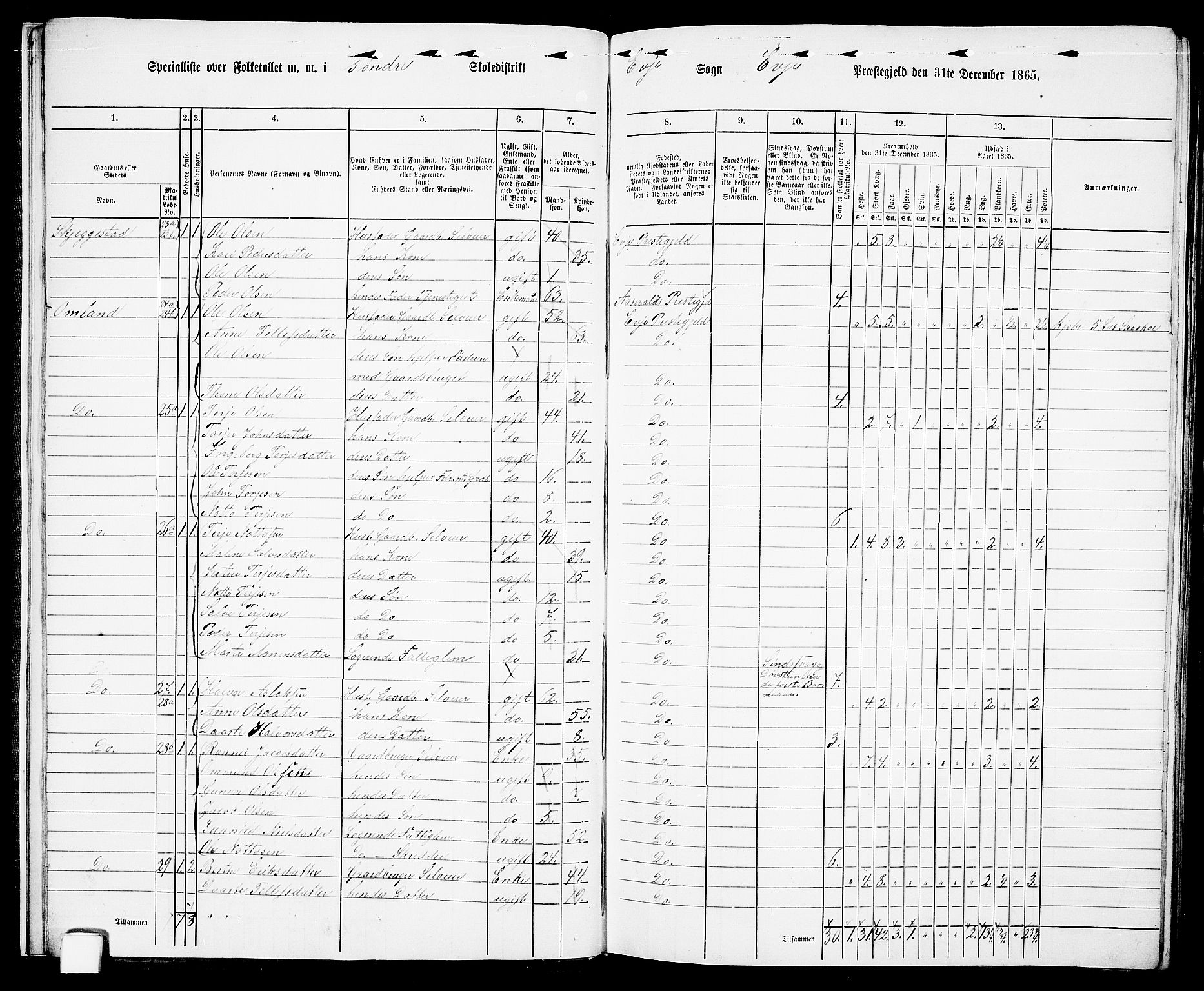 RA, 1865 census for Evje, 1865, p. 15