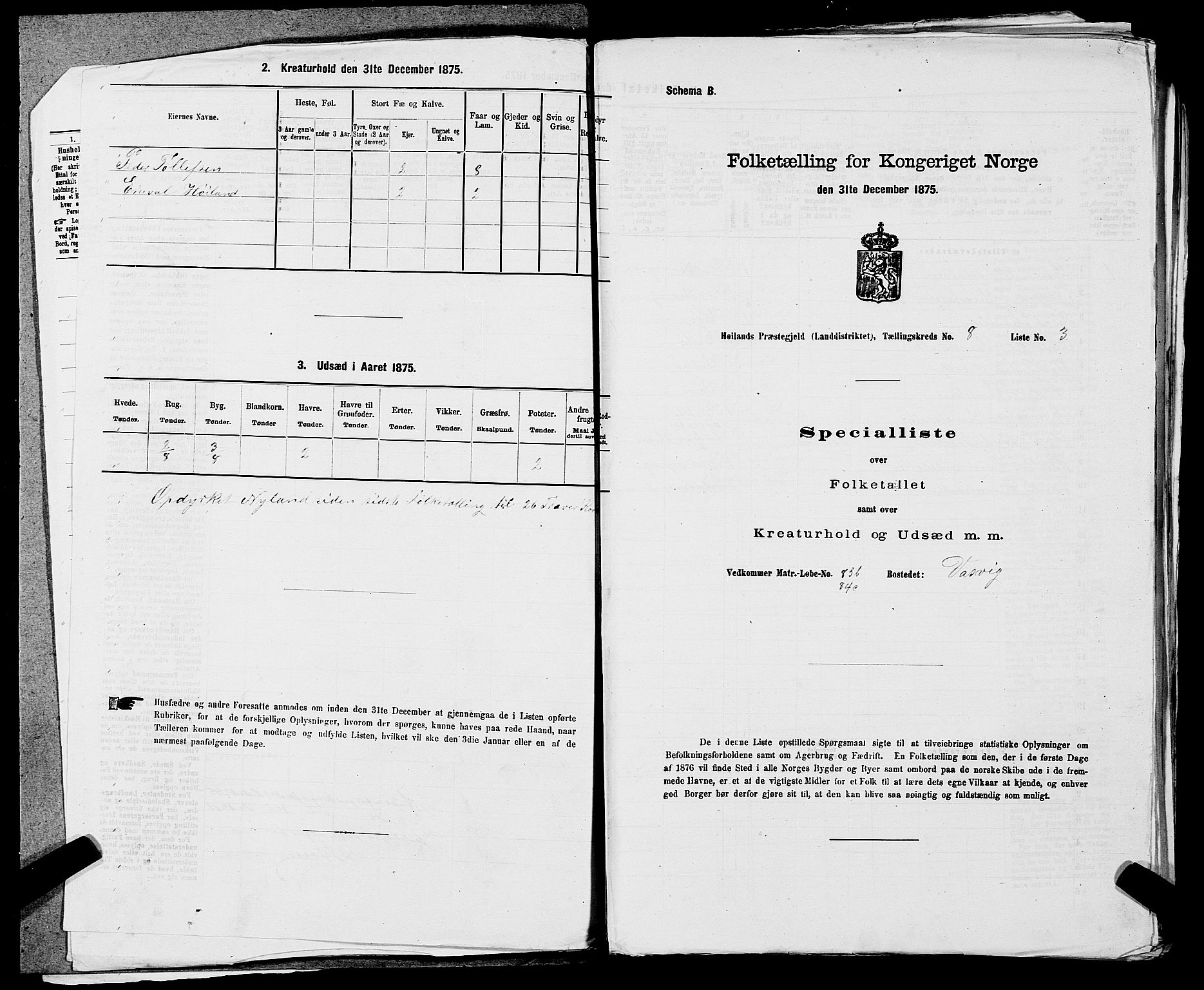 SAST, 1875 census for 1123L Høyland/Høyland, 1875, p. 1065