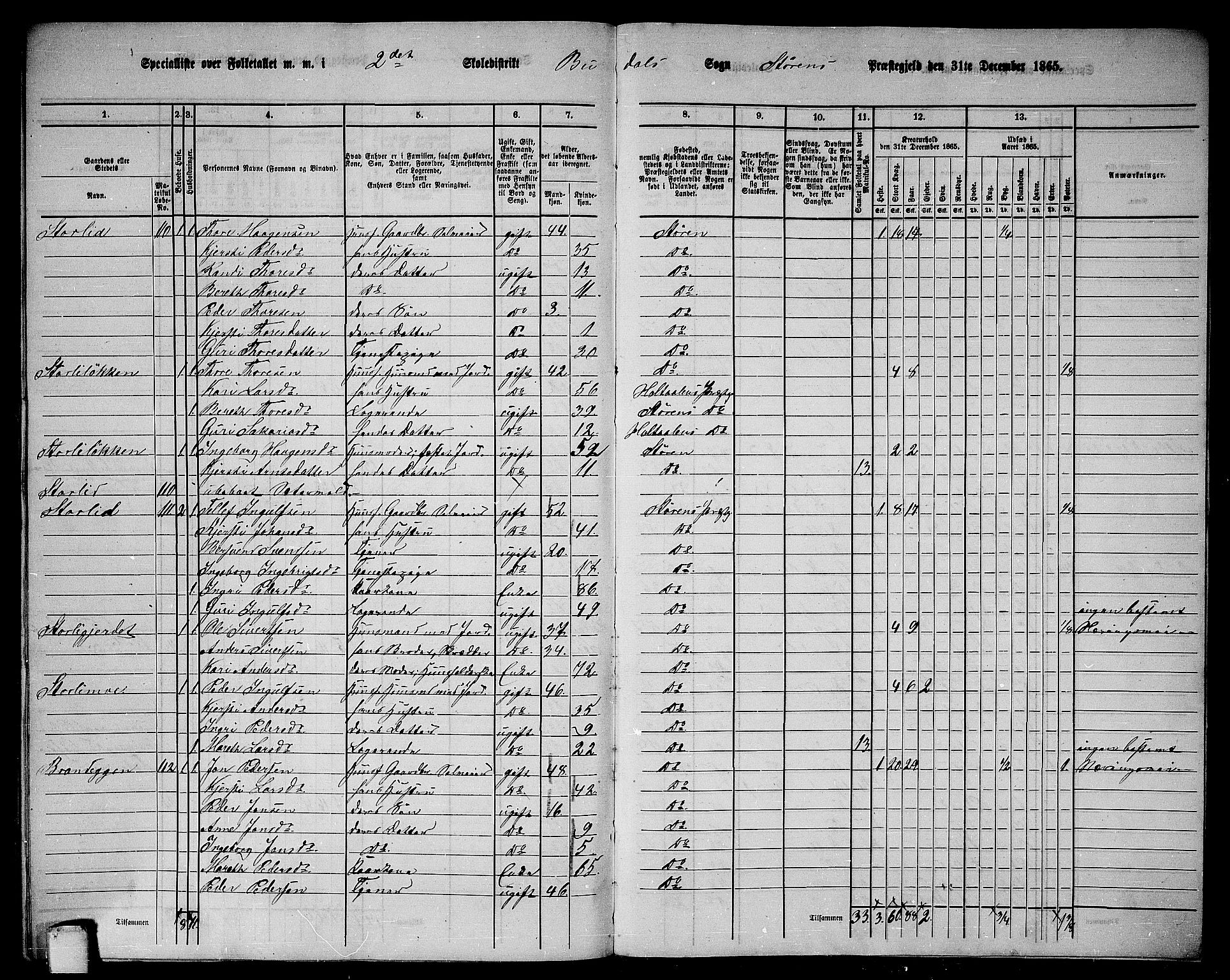 RA, 1865 census for Støren, 1865, p. 311