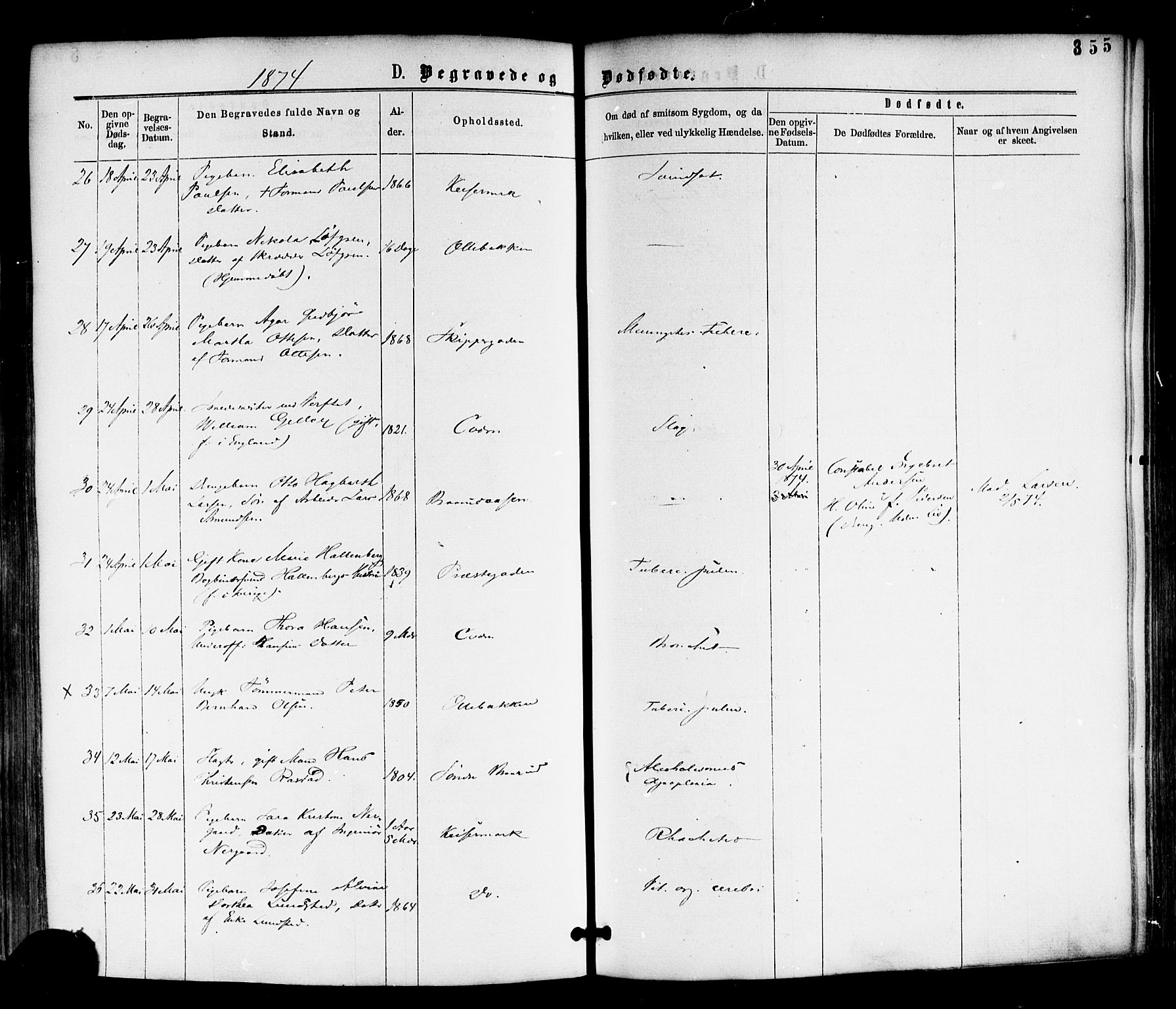 Horten kirkebøker, AV/SAKO-A-348/F/Fa/L0002: Parish register (official) no. 2, 1872-1877, p. 355