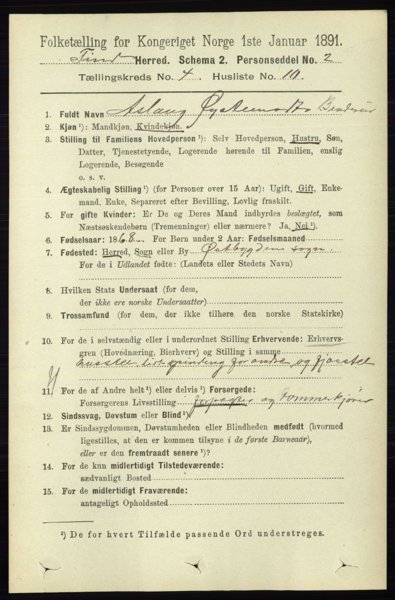 RA, 1891 census for 0826 Tinn, 1891, p. 781
