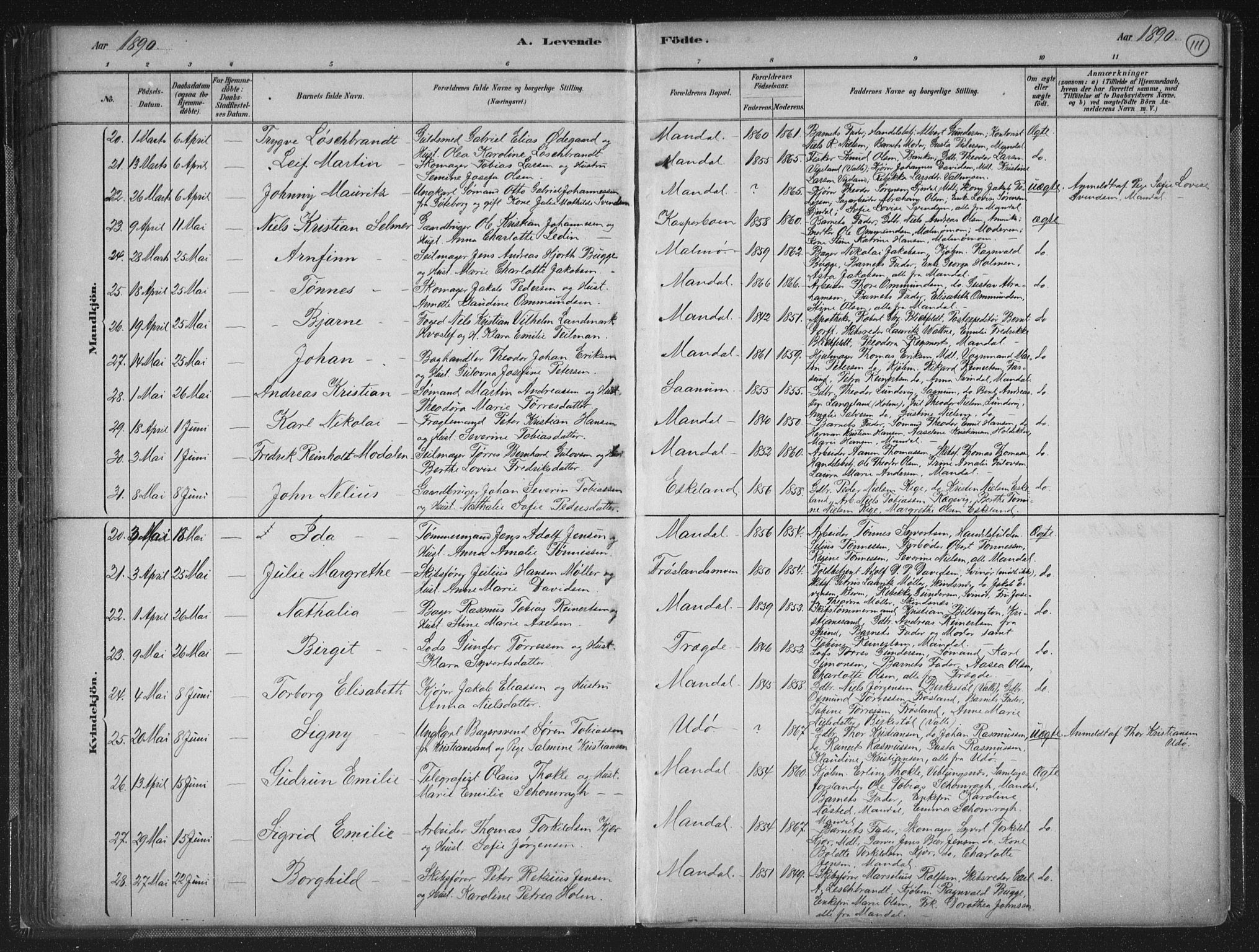 Mandal sokneprestkontor, AV/SAK-1111-0030/F/Fb/Fba/L0011: Parish register (copy) no. B 5, 1880-1898, p. 111