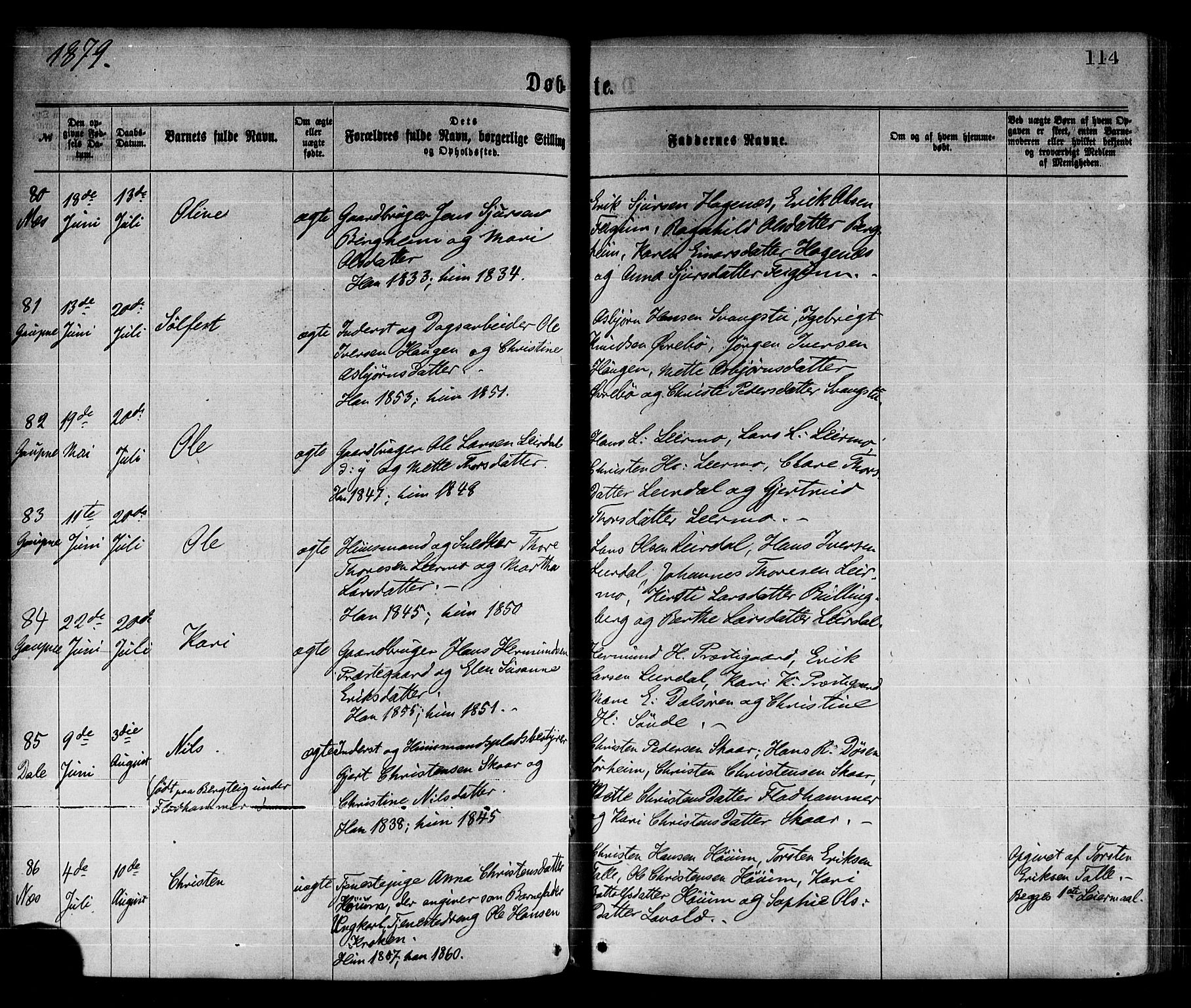 Luster sokneprestembete, SAB/A-81101/H/Haa/Haaa/L0010: Parish register (official) no. A 10, 1871-1886, p. 114