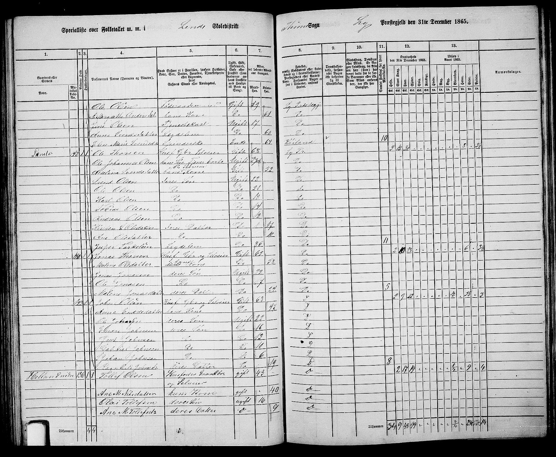 RA, 1865 census for Lye, 1865, p. 97