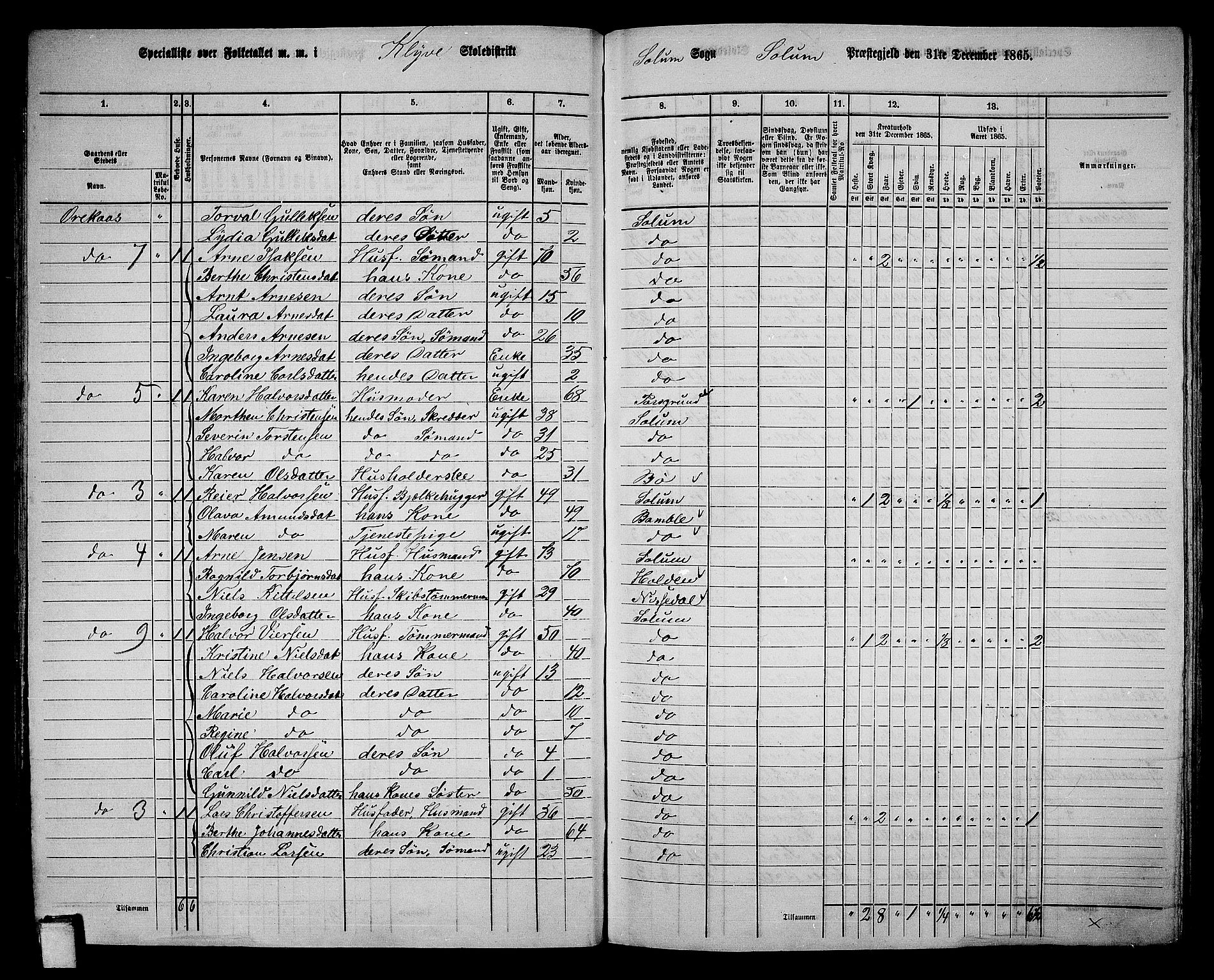 RA, 1865 census for Solum, 1865, p. 111