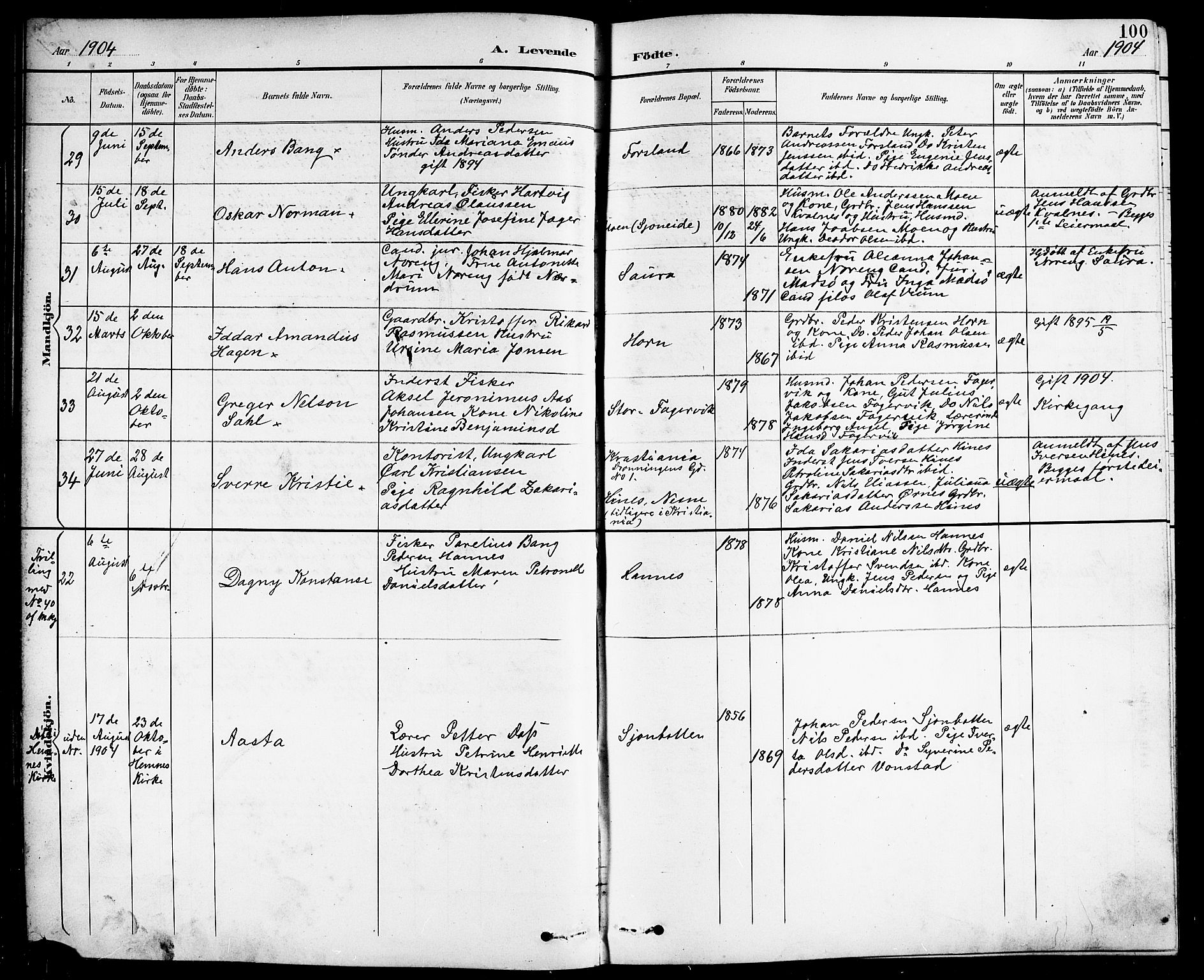 Ministerialprotokoller, klokkerbøker og fødselsregistre - Nordland, AV/SAT-A-1459/838/L0559: Parish register (copy) no. 838C06, 1893-1910, p. 100