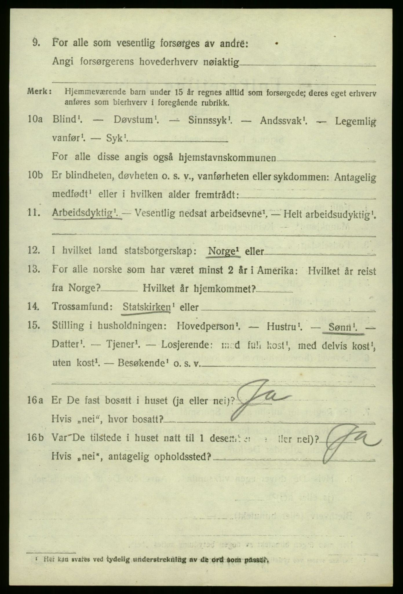 SAO, 1920 census for Hvaler, 1920, p. 4347