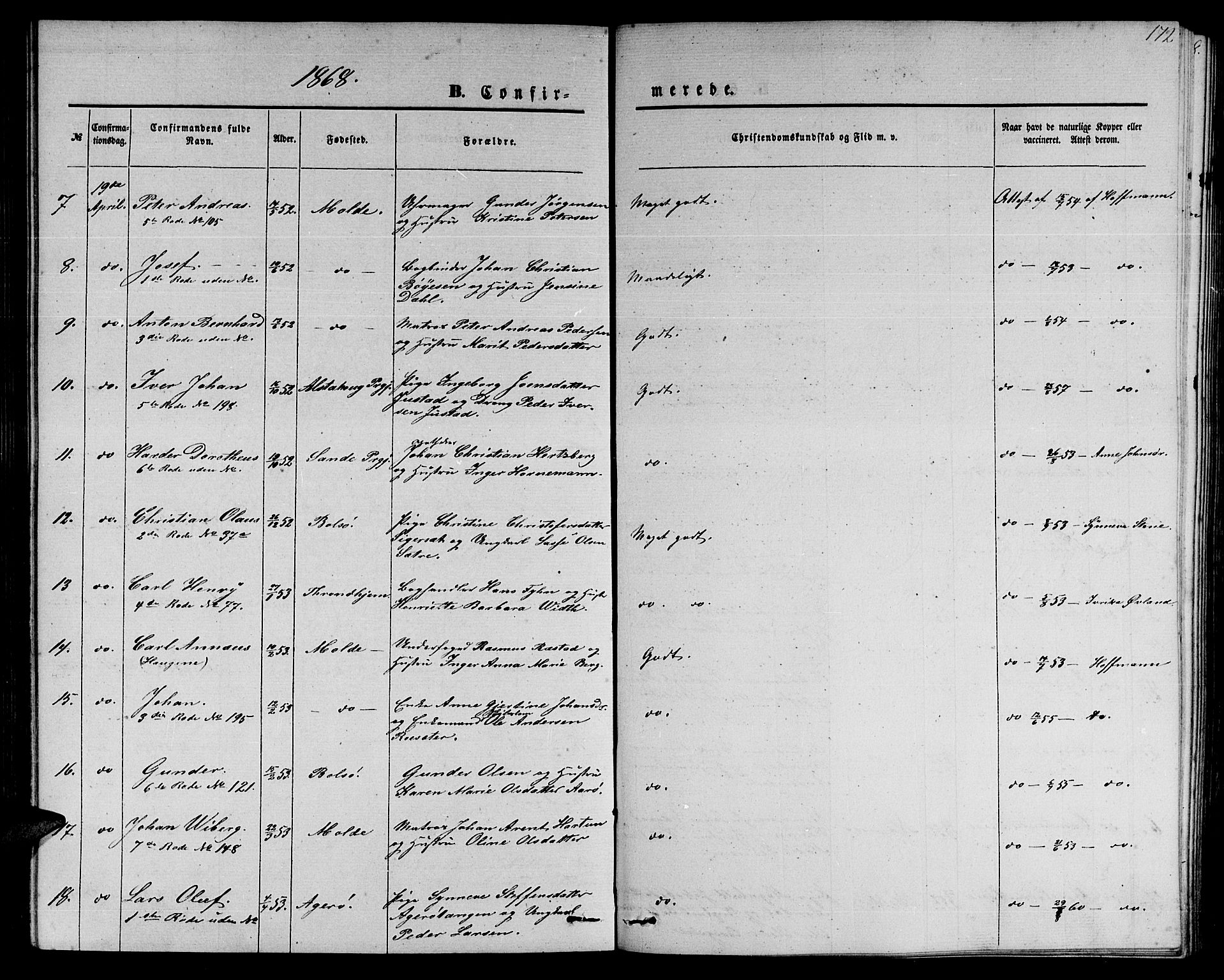 Ministerialprotokoller, klokkerbøker og fødselsregistre - Møre og Romsdal, AV/SAT-A-1454/558/L0701: Parish register (copy) no. 558C02, 1862-1879, p. 172