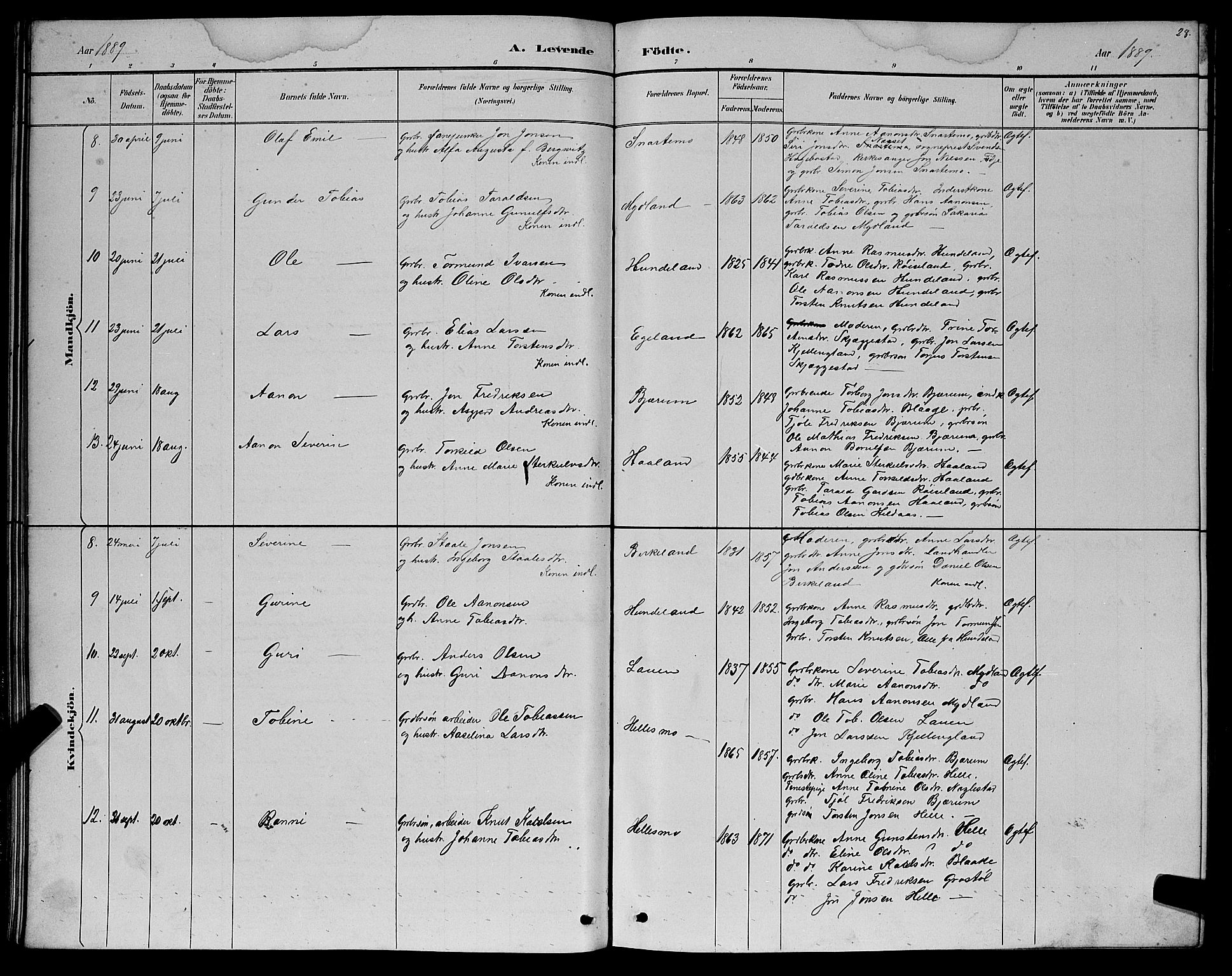 Hægebostad sokneprestkontor, SAK/1111-0024/F/Fb/Fba/L0003: Parish register (copy) no. B 3, 1883-1896, p. 28