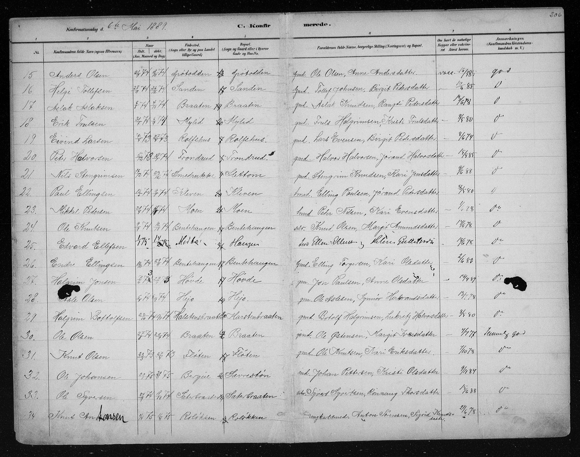 Nes kirkebøker, AV/SAKO-A-236/F/Fa/L0011: Parish register (official) no. 11, 1881-1912, p. 206