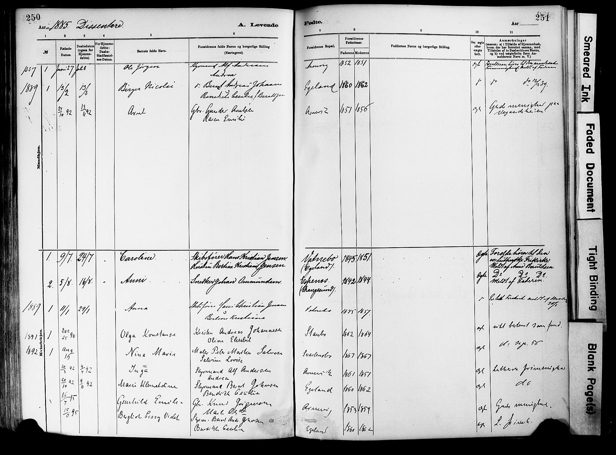 Dypvåg sokneprestkontor, SAK/1111-0007/F/Fa/Fab/L0001: Parish register (official) no. A 1, 1885-1912, p. 250-251