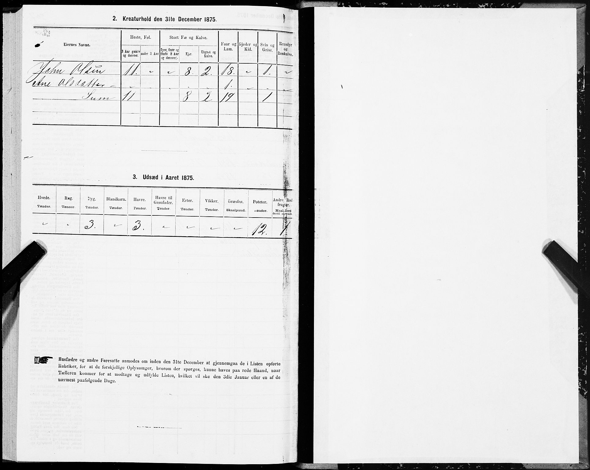 SAT, 1875 census for 1648P Støren, 1875