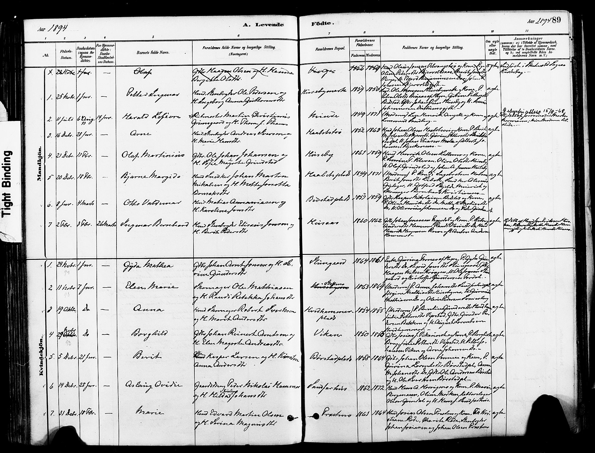 Ministerialprotokoller, klokkerbøker og fødselsregistre - Nord-Trøndelag, AV/SAT-A-1458/709/L0077: Parish register (official) no. 709A17, 1880-1895, p. 89