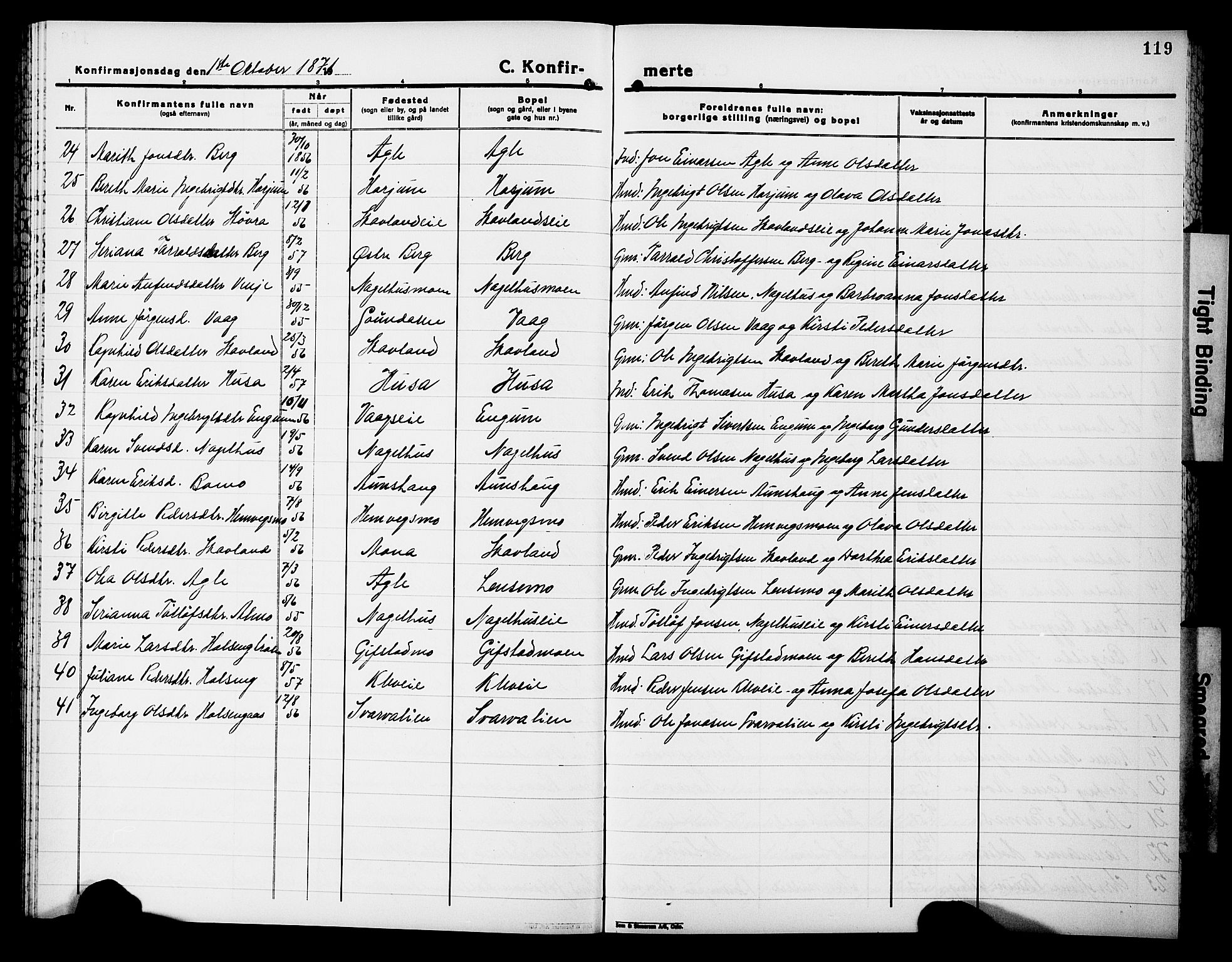 Ministerialprotokoller, klokkerbøker og fødselsregistre - Nord-Trøndelag, SAT/A-1458/749/L0485: Parish register (official) no. 749D01, 1857-1872, p. 119