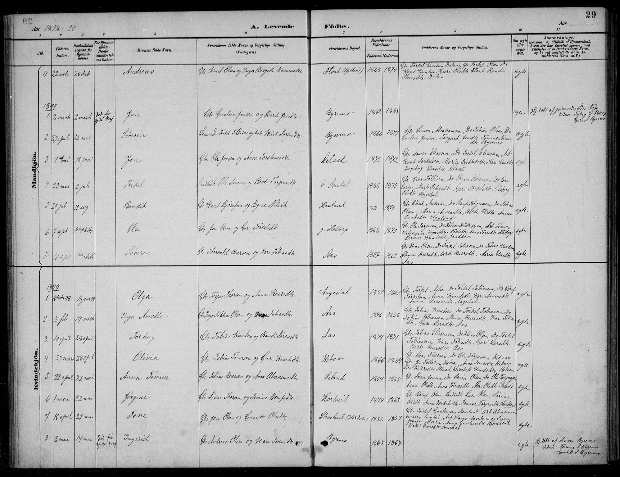 Bjelland sokneprestkontor, SAK/1111-0005/F/Fb/Fbc/L0003: Parish register (copy) no. B 3, 1887-1924, p. 29