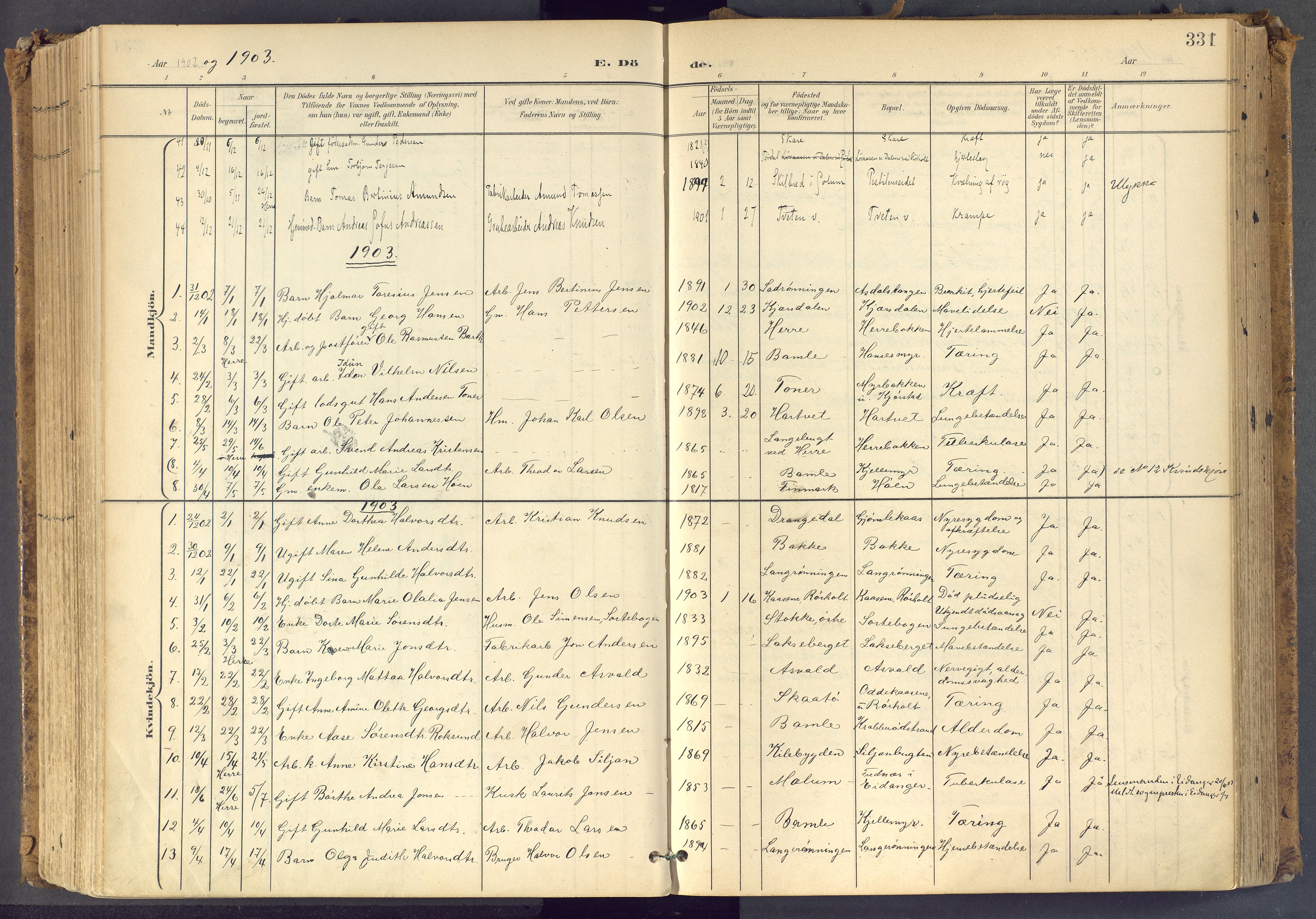 Bamble kirkebøker, SAKO/A-253/F/Fa/L0009: Parish register (official) no. I 9, 1901-1917, p. 331