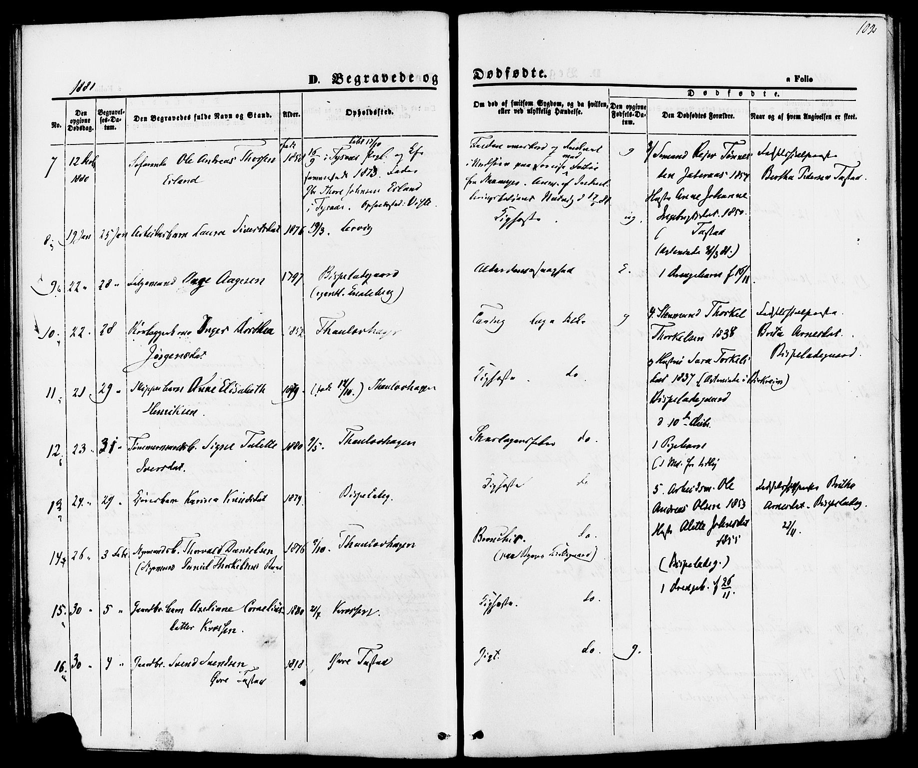 Hetland sokneprestkontor, SAST/A-101826/30/30BA/L0006: Parish register (official) no. A 6, 1869-1884, p. 102