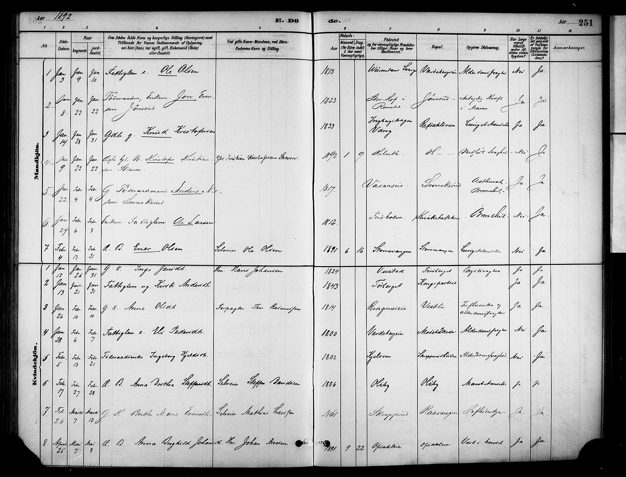 Stange prestekontor, SAH/PREST-002/K/L0018: Parish register (official) no. 18, 1880-1896, p. 251
