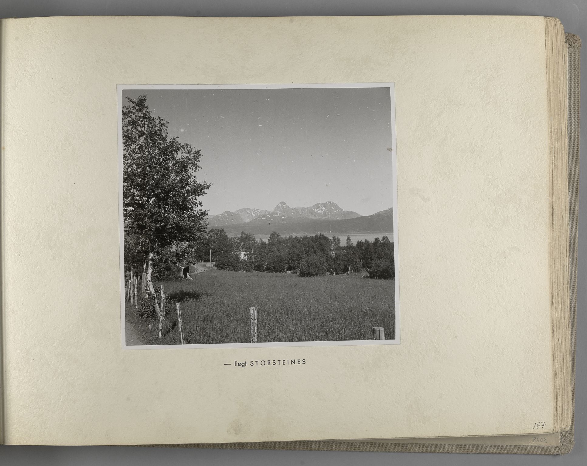 Tyske arkiver, Reichskommissariat, Bildarchiv, AV/RA-RAFA-3309/U/L0071: Fotoalbum: Mit dem Reichskommissar nach Nordnorwegen und Finnland 10. bis 27. Juli 1942, 1942, p. 77