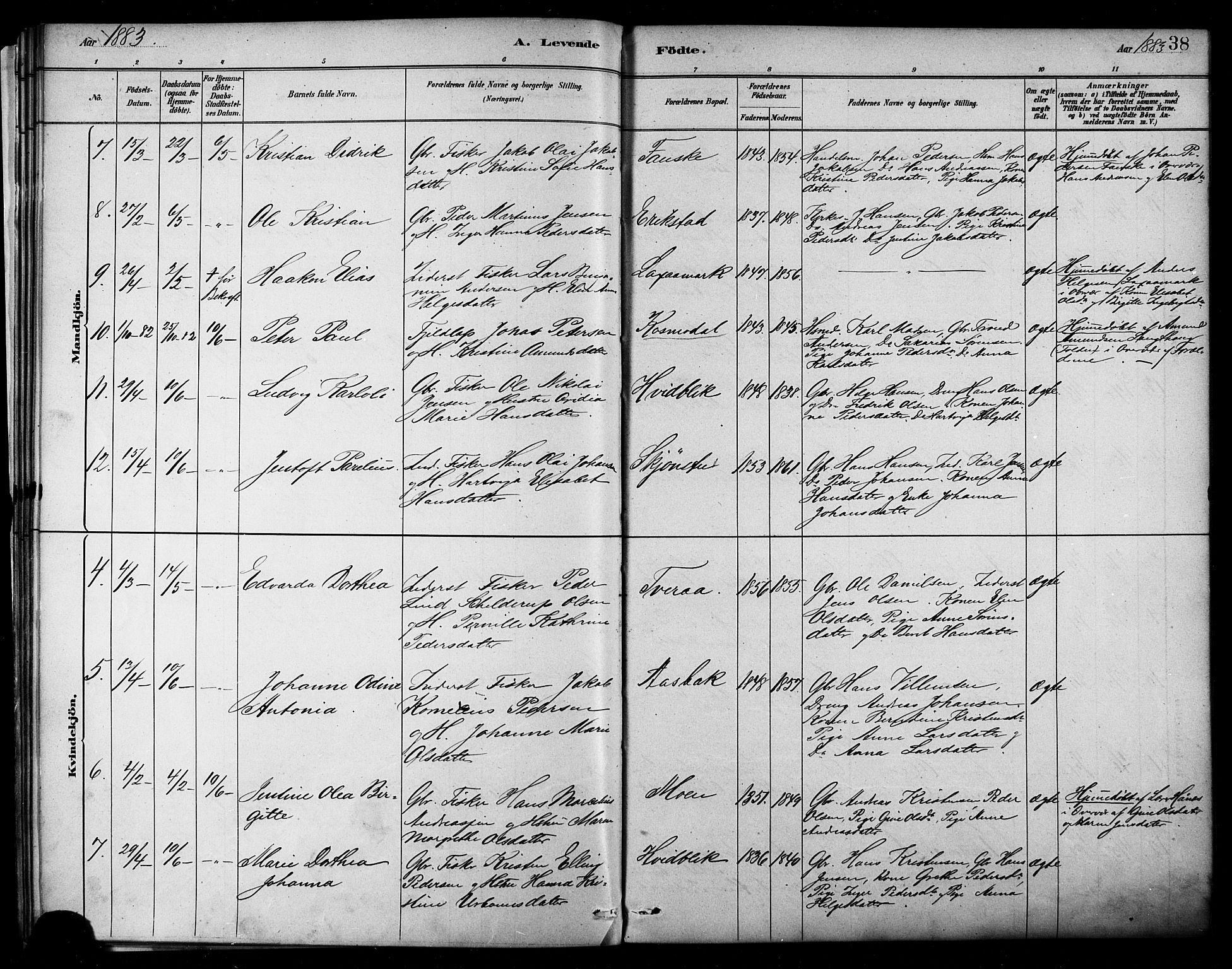 Ministerialprotokoller, klokkerbøker og fødselsregistre - Nordland, AV/SAT-A-1459/849/L0689: Parish register (official) no. 849A01, 1879-1889, p. 38