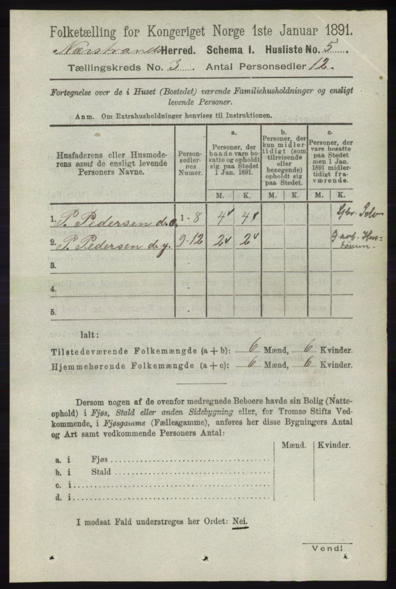 RA, 1891 census for 1139 Nedstrand, 1891, p. 419