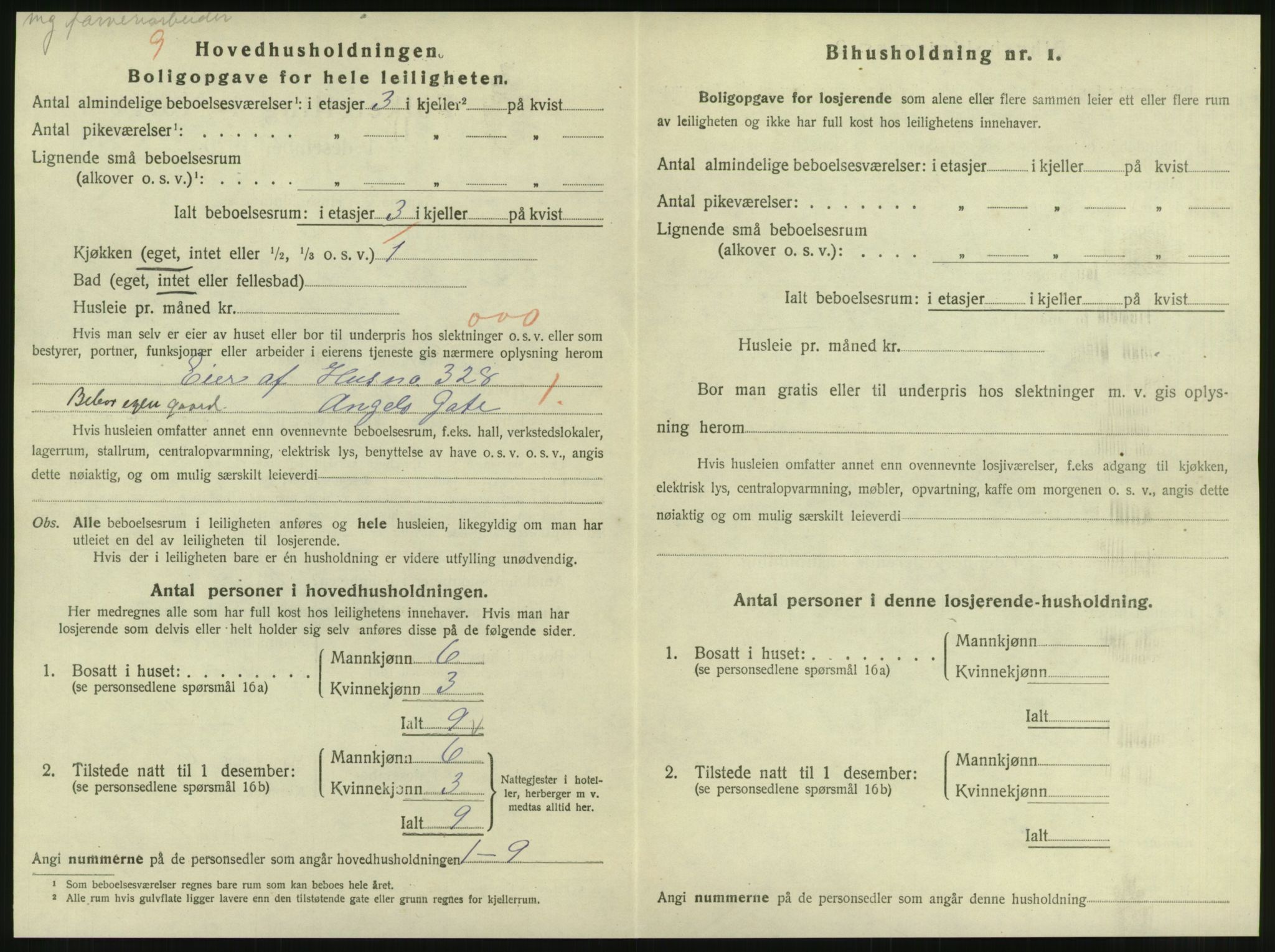 SAT, 1920 census for Steinkjer, 1920, p. 1137