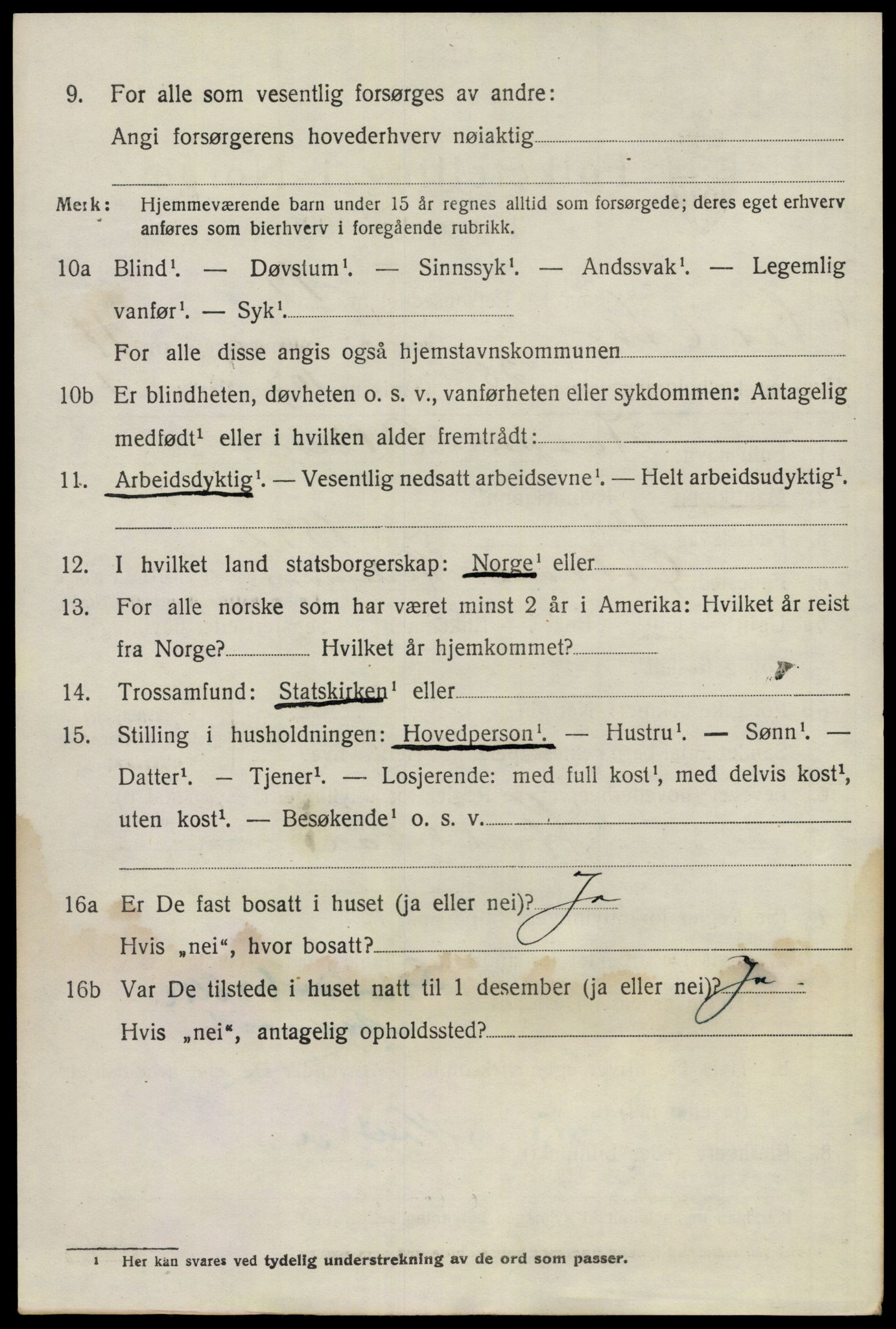 SAO, 1920 census for Nes, 1920, p. 11843