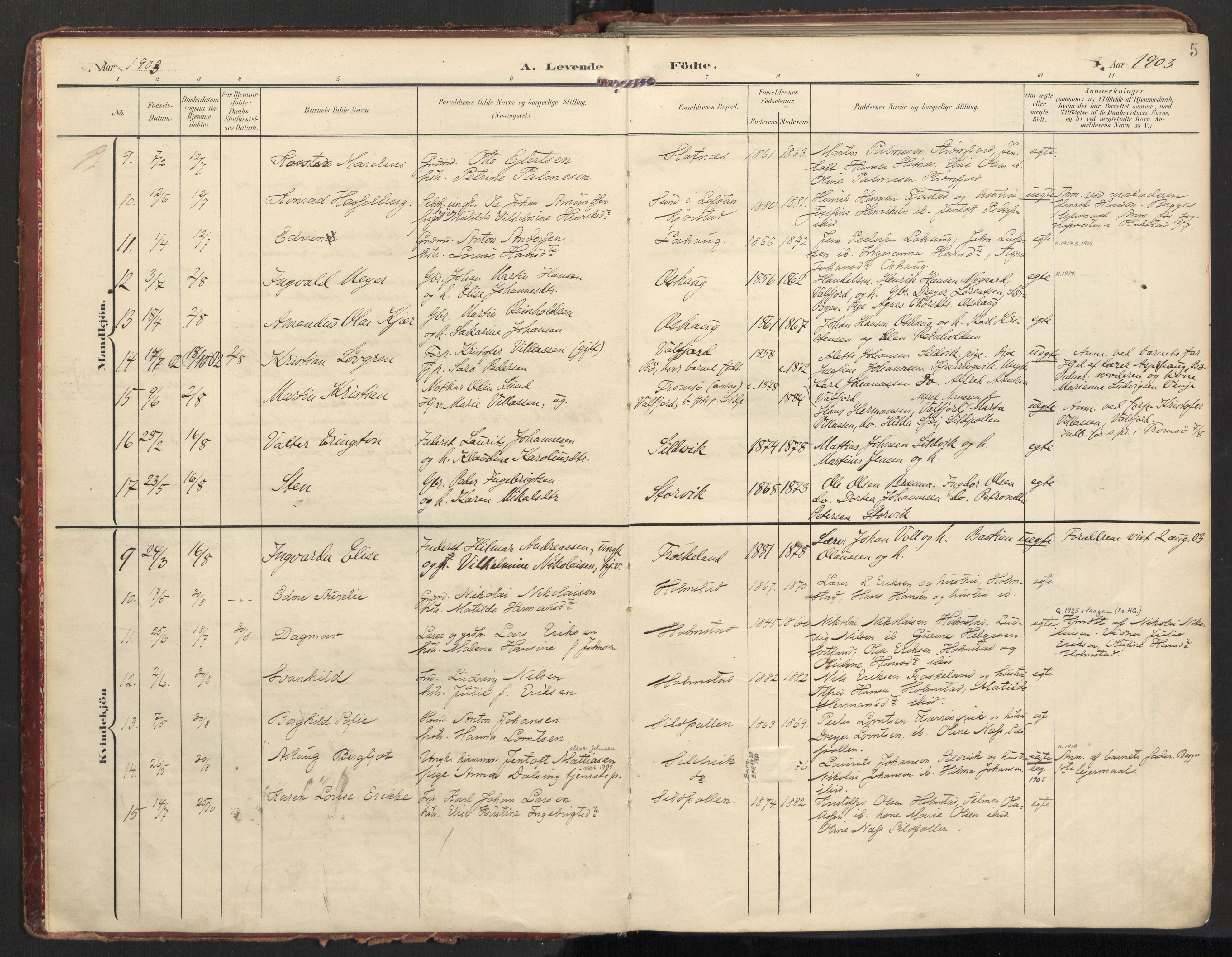 Ministerialprotokoller, klokkerbøker og fødselsregistre - Nordland, AV/SAT-A-1459/890/L1287: Parish register (official) no. 890A02, 1903-1915, p. 5