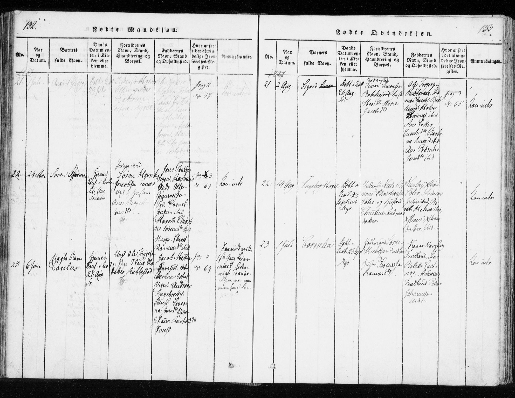 Tranøy sokneprestkontor, SATØ/S-1313/I/Ia/Iaa/L0004kirke: Parish register (official) no. 4, 1820-1829, p. 132-133