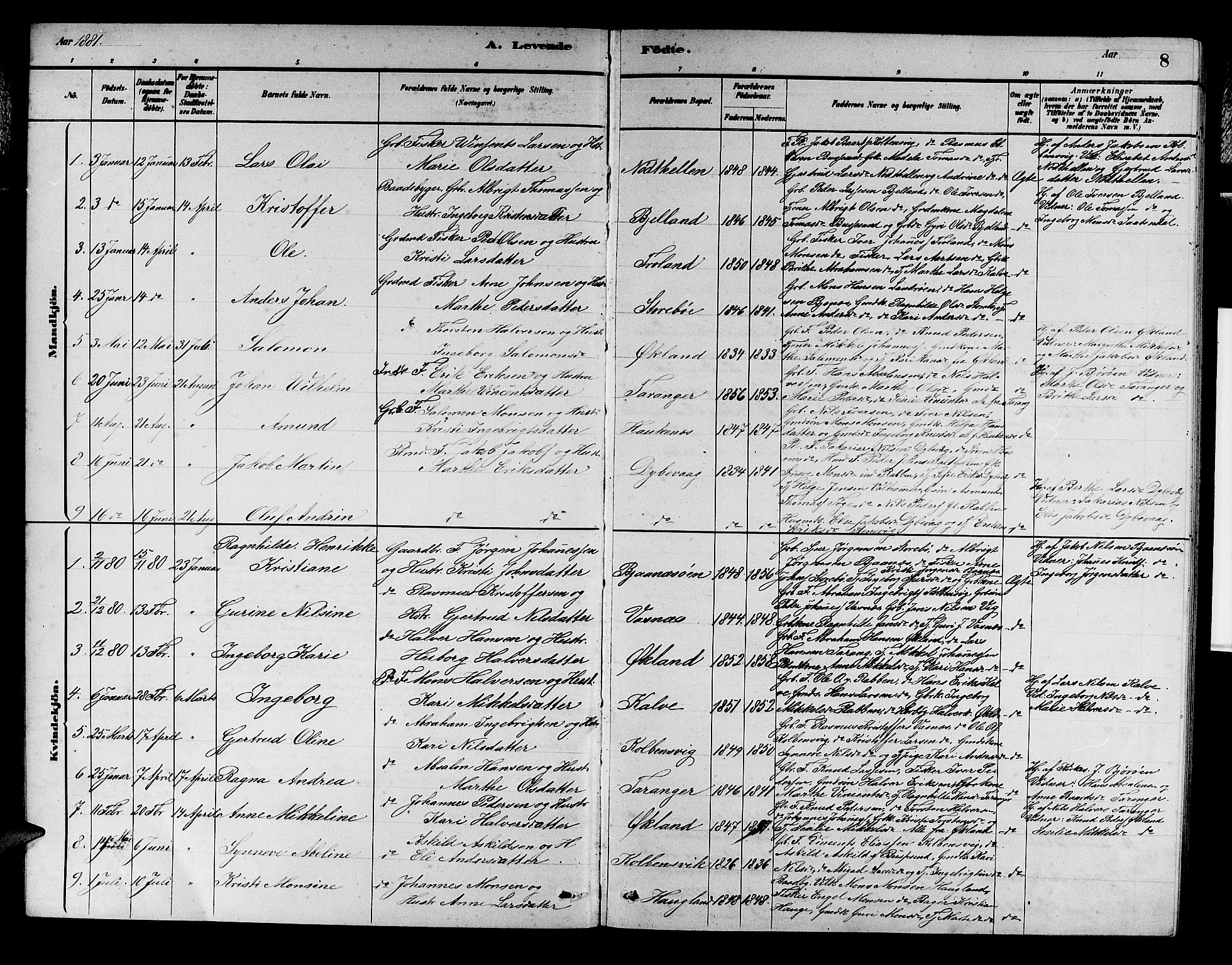 Austevoll Sokneprestembete, SAB/A-74201/H/Hab: Parish register (copy) no. A 2, 1880-1888, p. 8