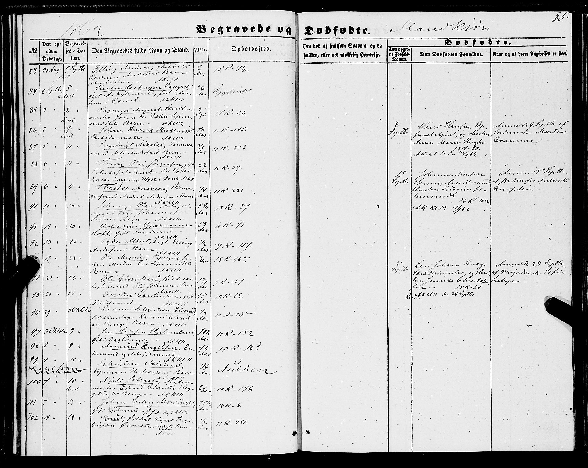 Domkirken sokneprestembete, AV/SAB-A-74801/H/Haa/L0041: Parish register (official) no. E 2, 1853-1863, p. 85