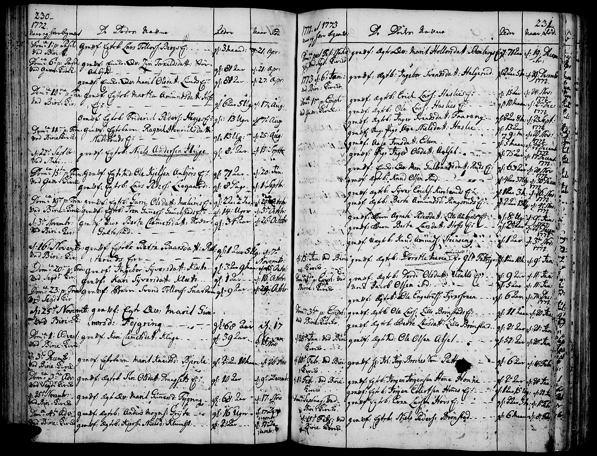 Biri prestekontor, SAH/PREST-096/H/Ha/Haa/L0002: Parish register (official) no. 2, 1754-1789, p. 230-231