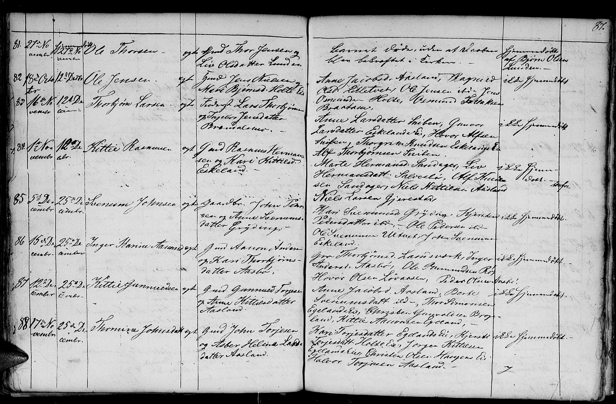 Gjerstad sokneprestkontor, AV/SAK-1111-0014/F/Fb/Fba/L0004: Parish register (copy) no. B 4, 1845-1853, p. 87