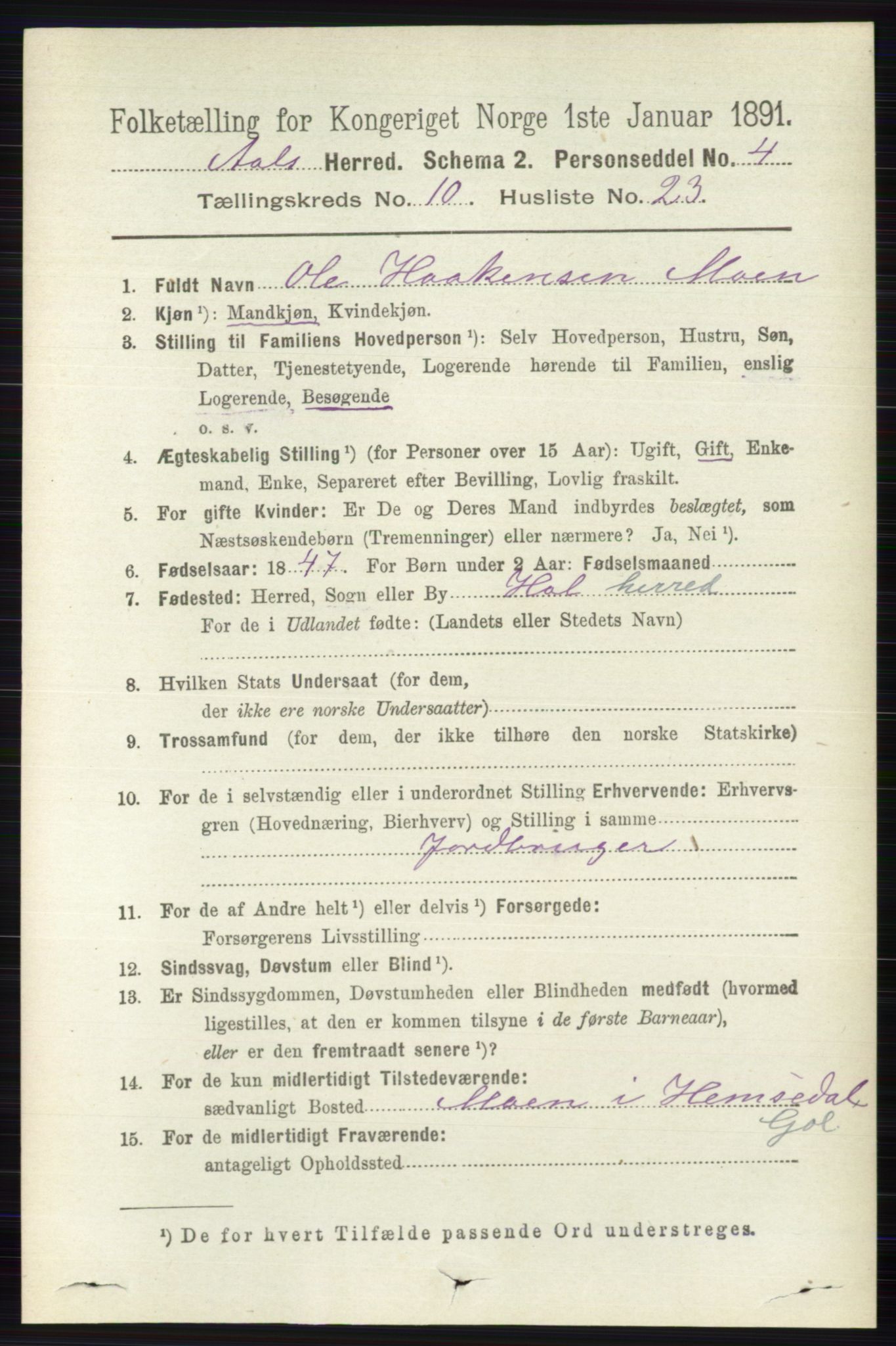 RA, 1891 census for 0619 Ål, 1891, p. 2804