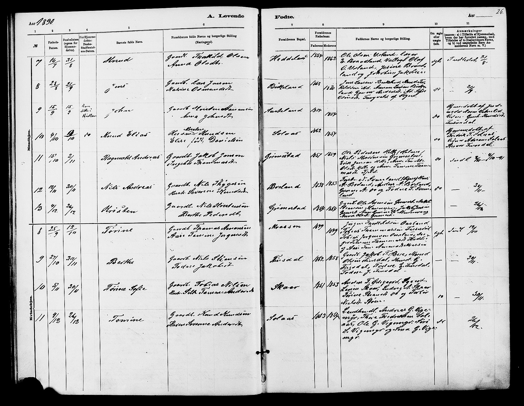 Holum sokneprestkontor, AV/SAK-1111-0022/F/Fb/Fbc/L0003: Parish register (copy) no. B 3, 1882-1908, p. 26