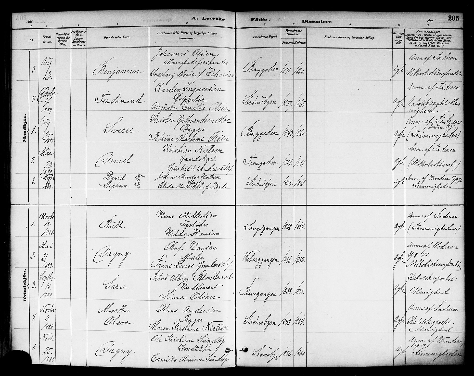 Strømsø kirkebøker, SAKO/A-246/F/Fa/L0023: Parish register (official) no. I 23, 1885-1894, p. 205