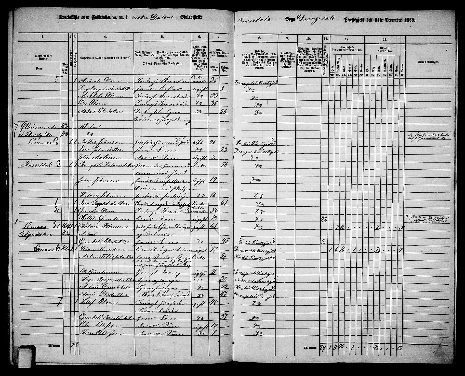 RA, 1865 census for Drangedal, 1865, p. 138