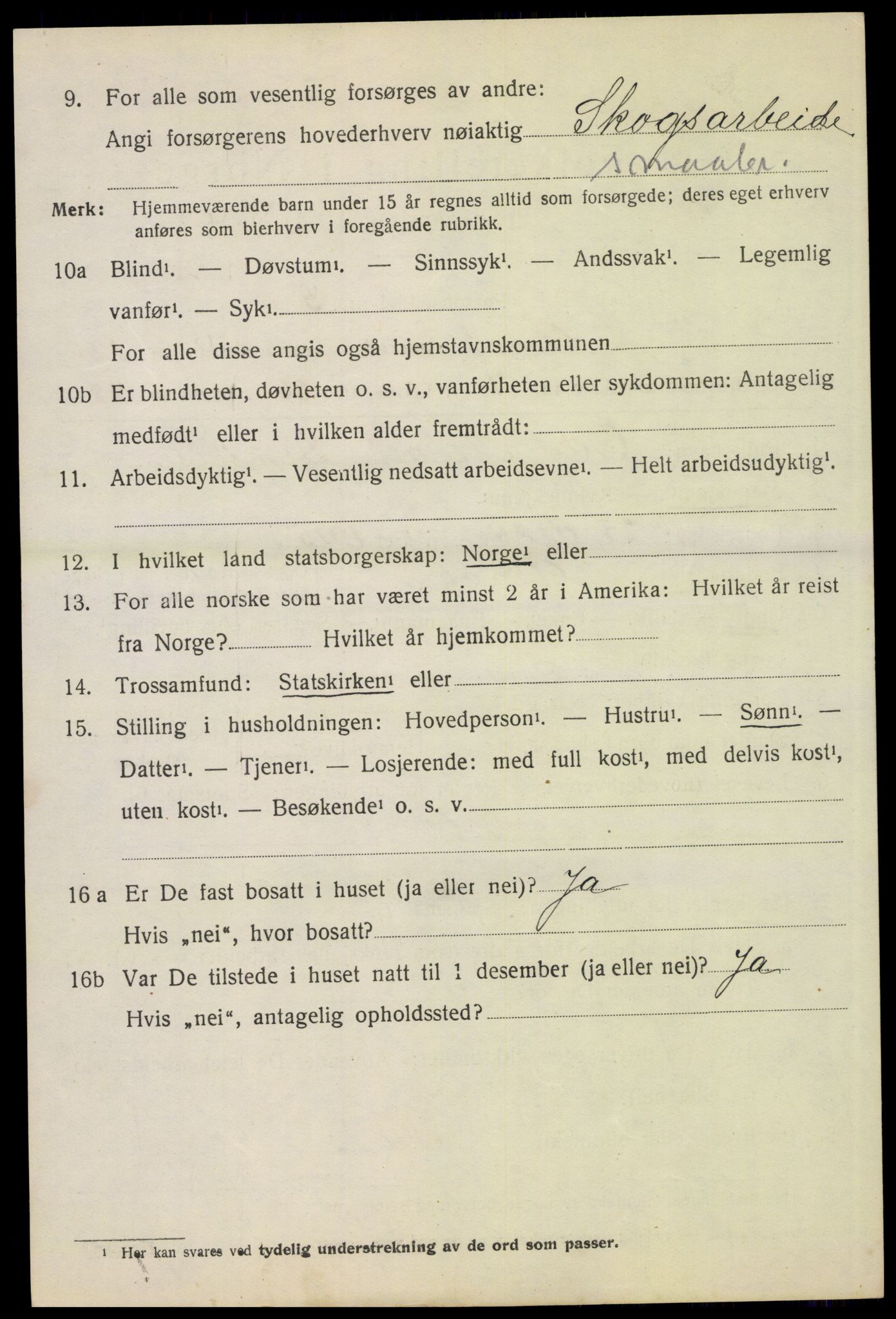 SAH, 1920 census for Åmot, 1920, p. 10876