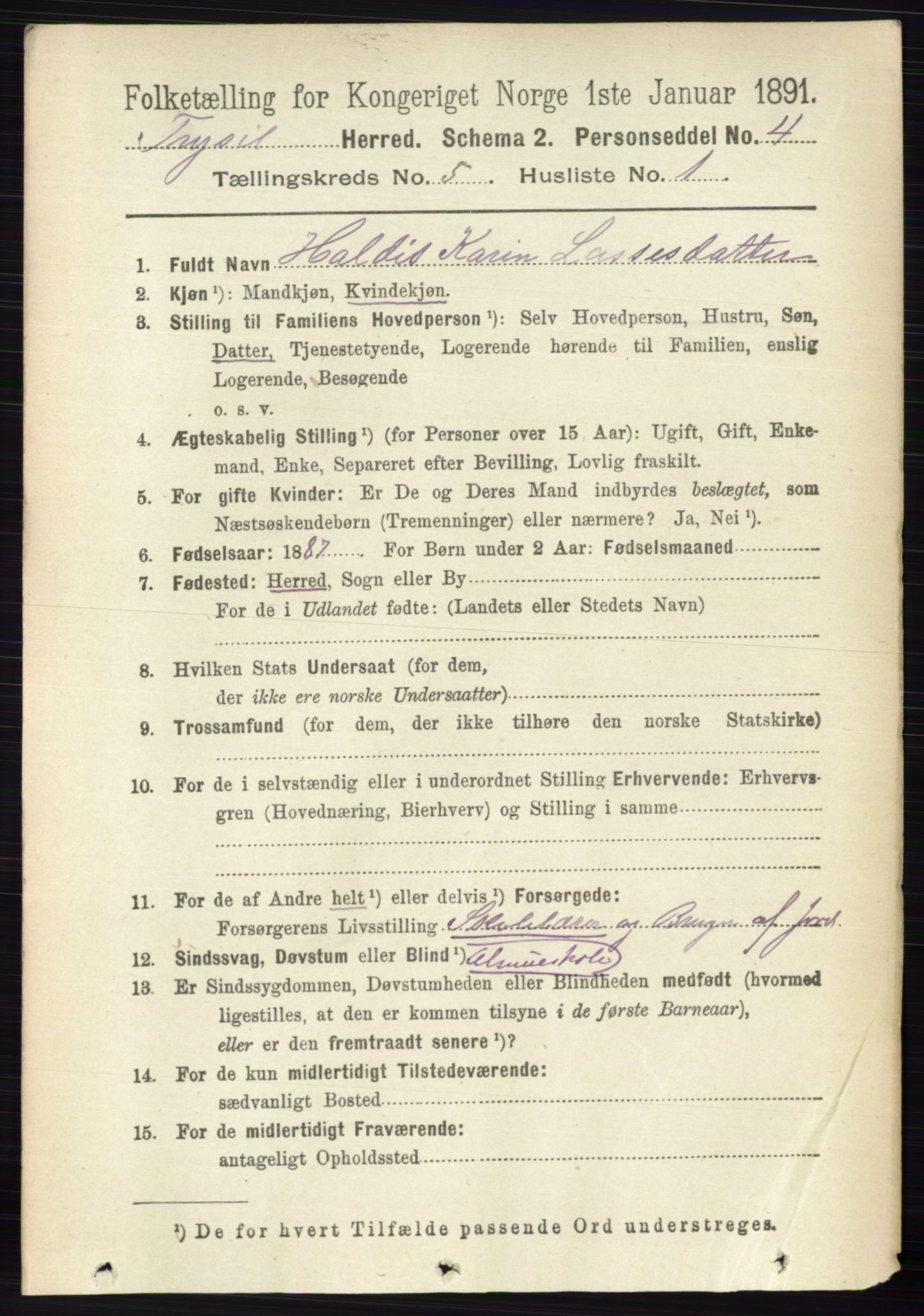 RA, 1891 census for 0428 Trysil, 1891, p. 2304