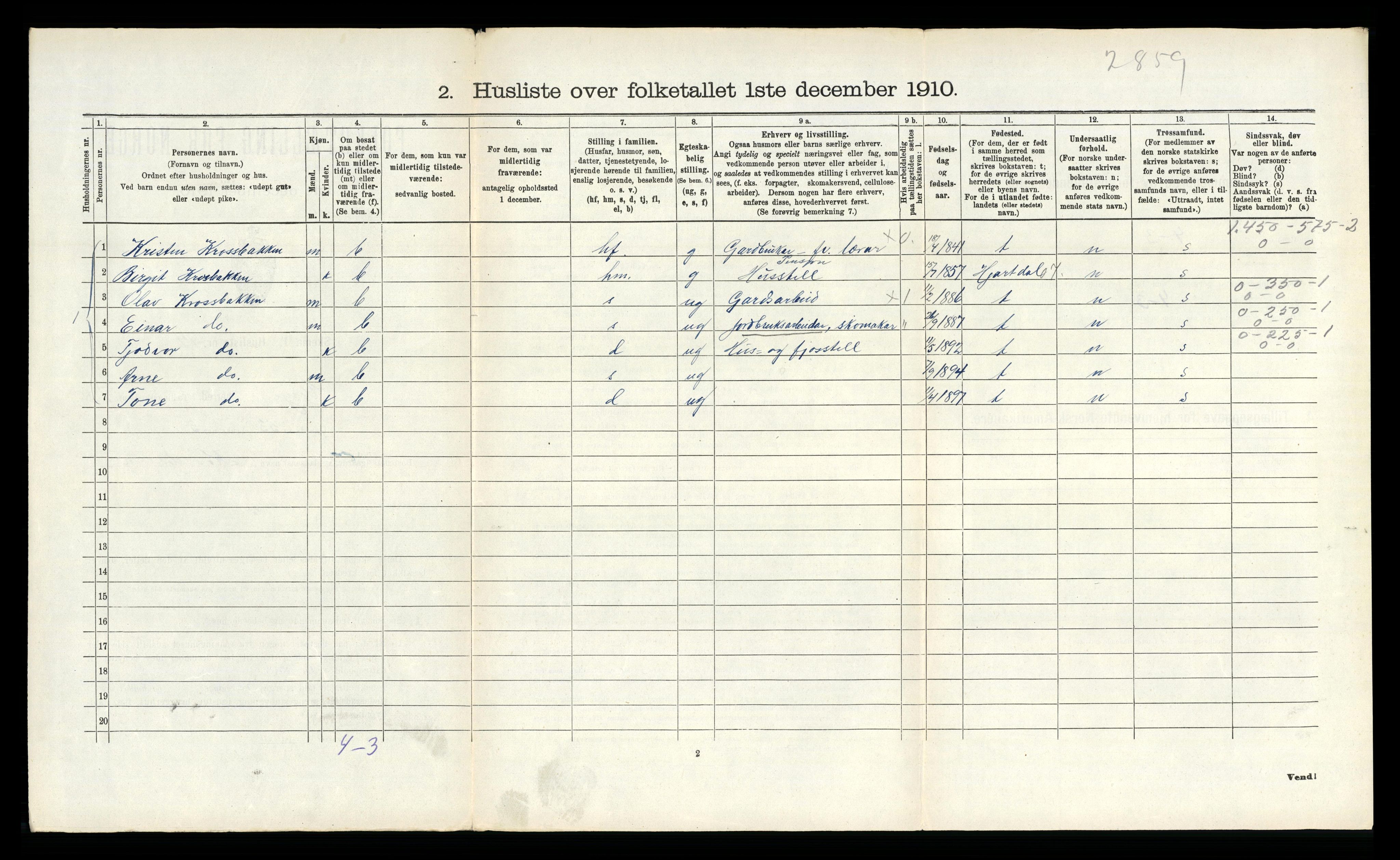 RA, 1910 census for Vinje, 1910, p. 315