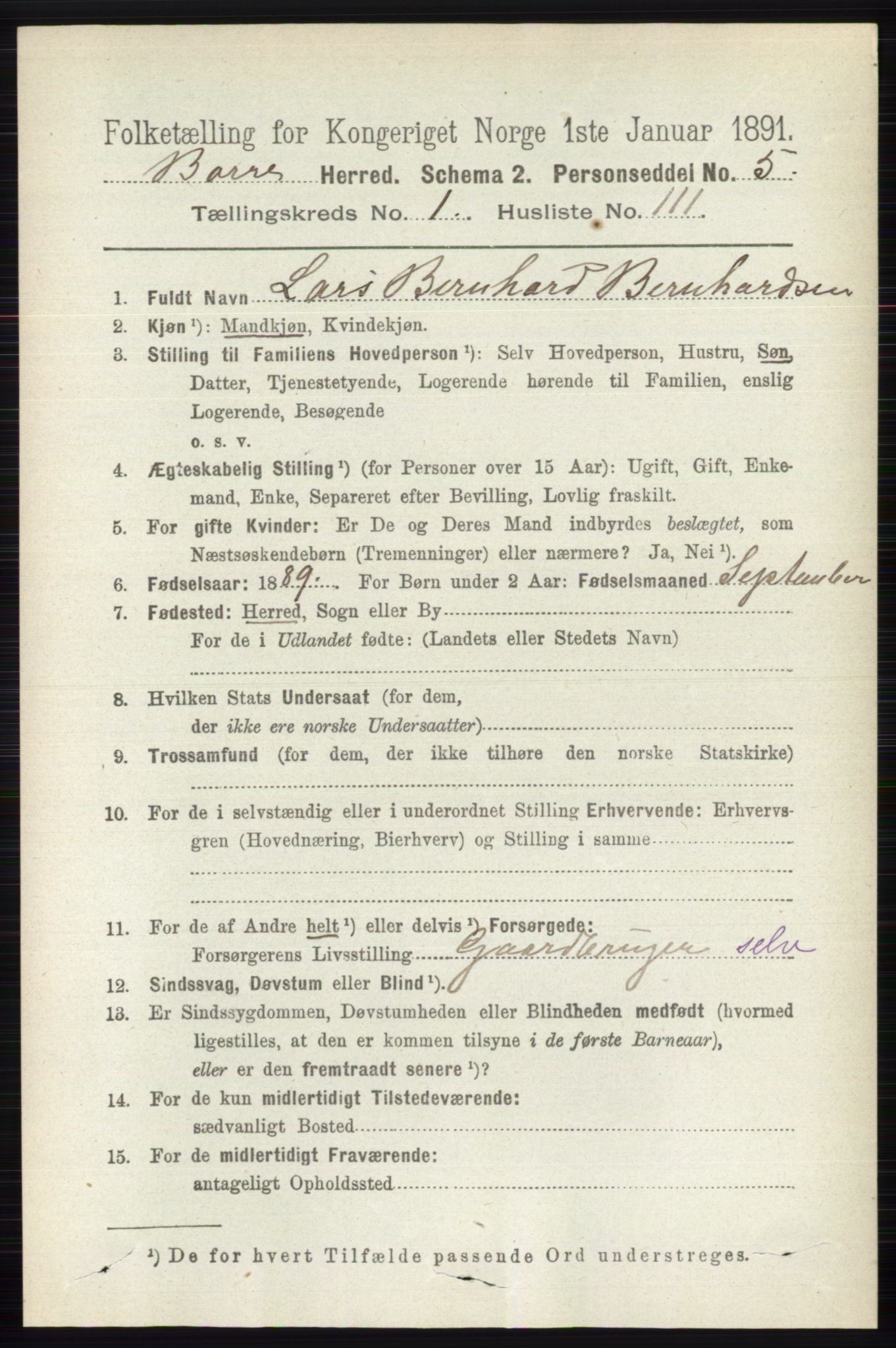 RA, 1891 census for 0717 Borre, 1891, p. 735