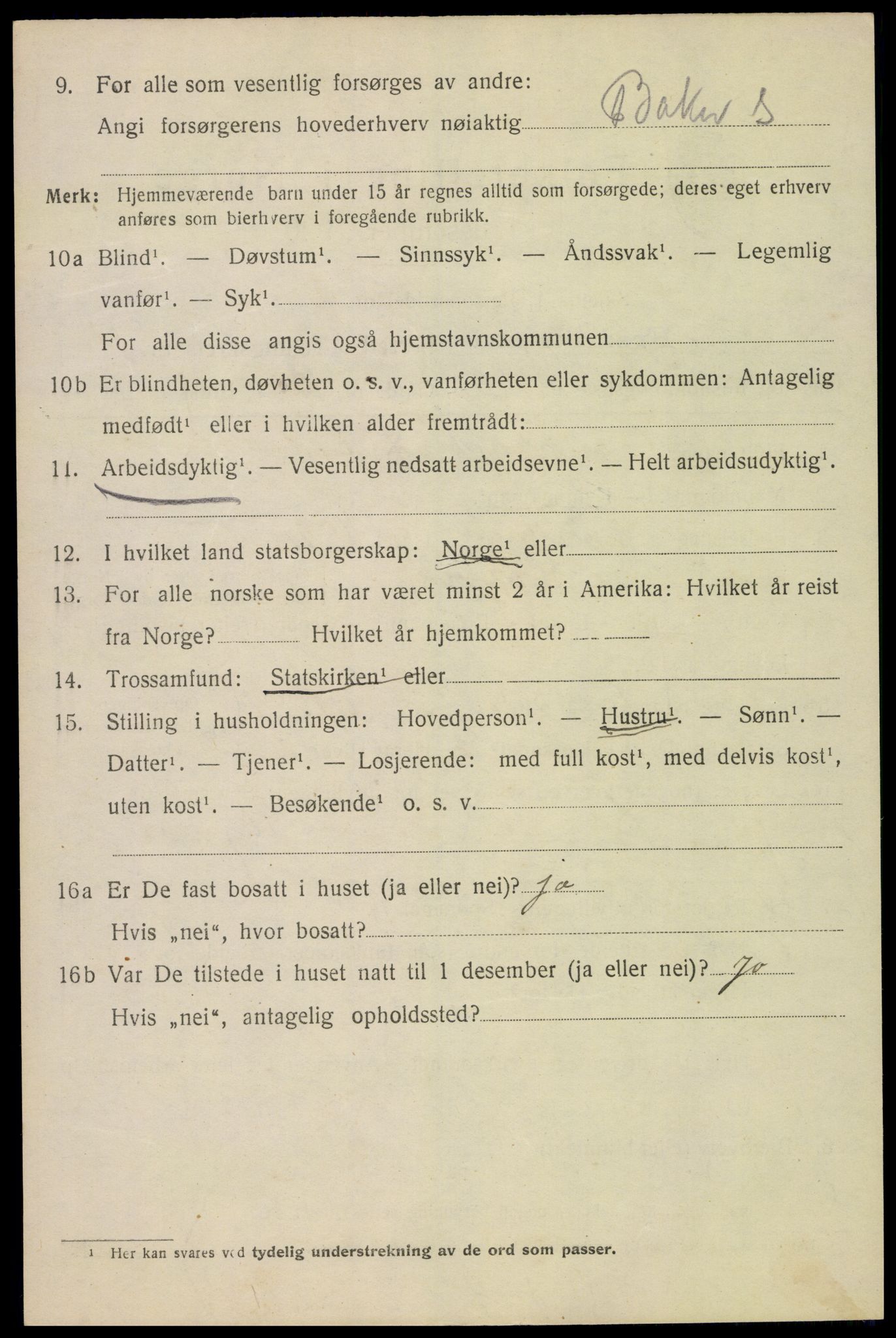 SAKO, 1920 census for Fredriksvern, 1920, p. 1486