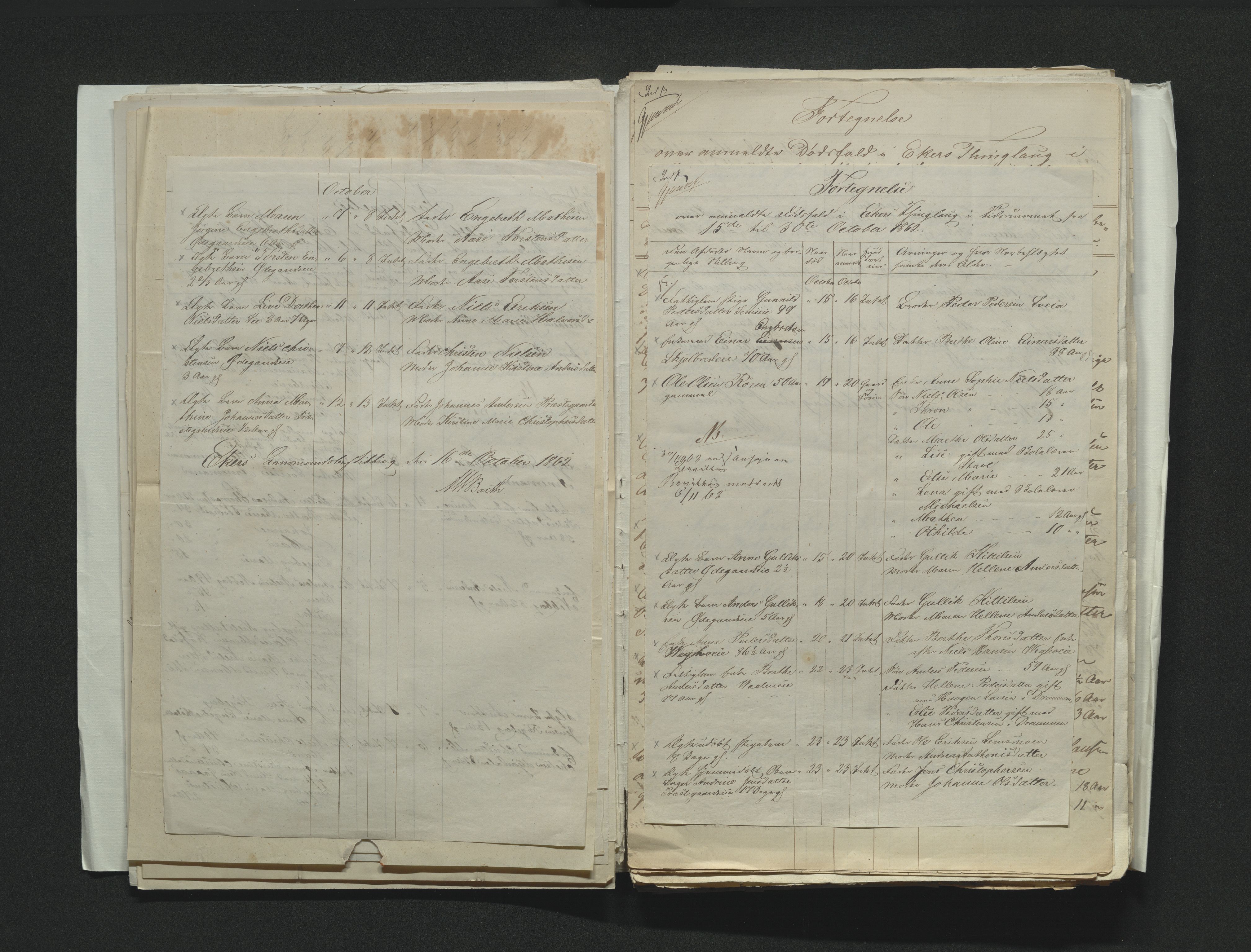 Eiker, Modum og Sigdal sorenskriveri, AV/SAKO-A-123/H/Ha/Hab/L0011: Dødsfallsmeldinger, 1862-1865, p. 43