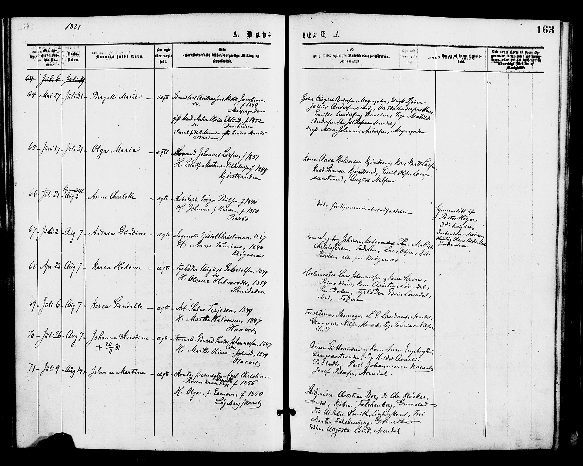 Barbu sokneprestkontor, AV/SAK-1111-0003/F/Fa/L0001: Parish register (official) no. A 1 /1, 1878-1883, p. 163