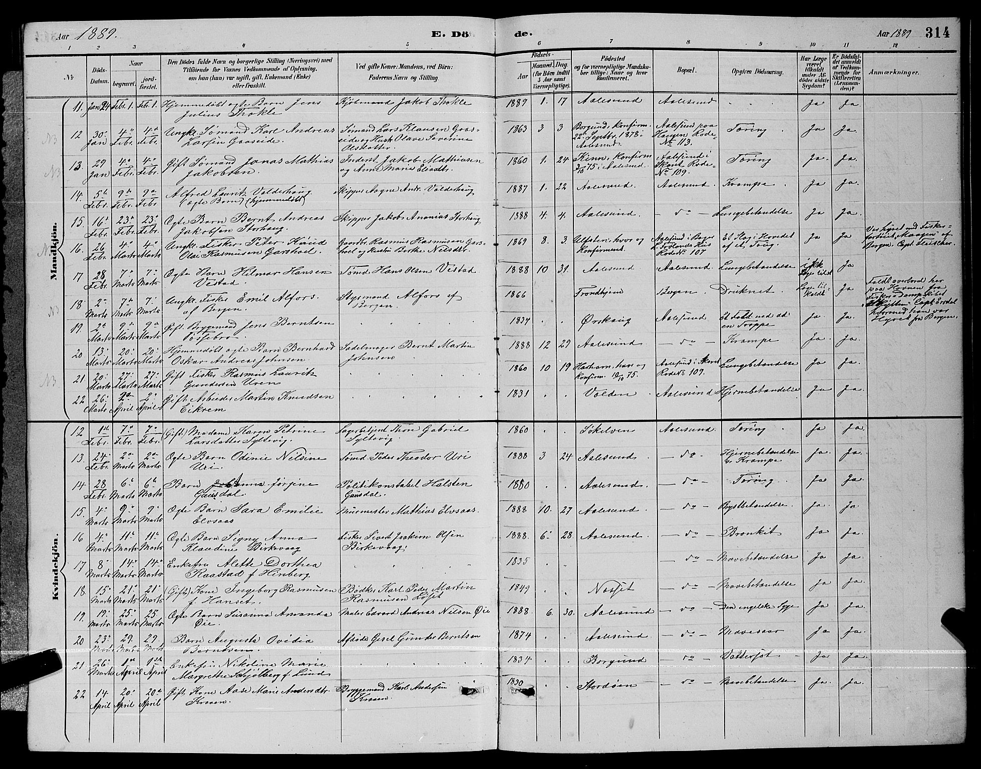 Ministerialprotokoller, klokkerbøker og fødselsregistre - Møre og Romsdal, AV/SAT-A-1454/529/L0467: Parish register (copy) no. 529C04, 1889-1897, p. 314