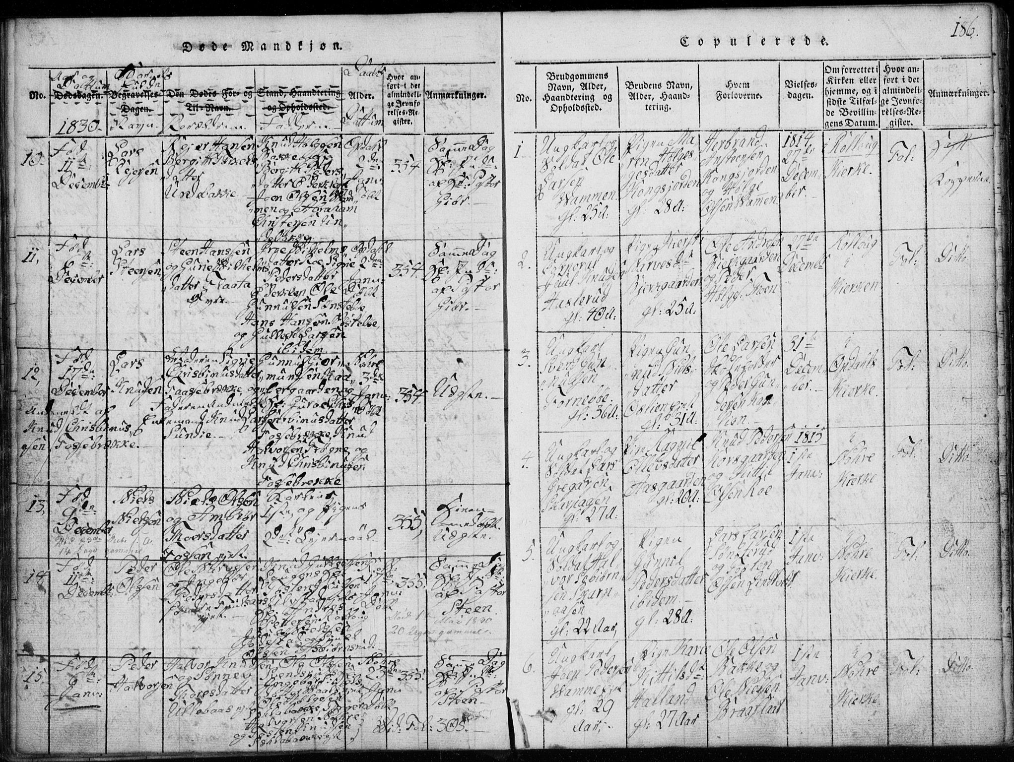 Rollag kirkebøker, SAKO/A-240/G/Ga/L0001: Parish register (copy) no. I 1, 1814-1831, p. 186