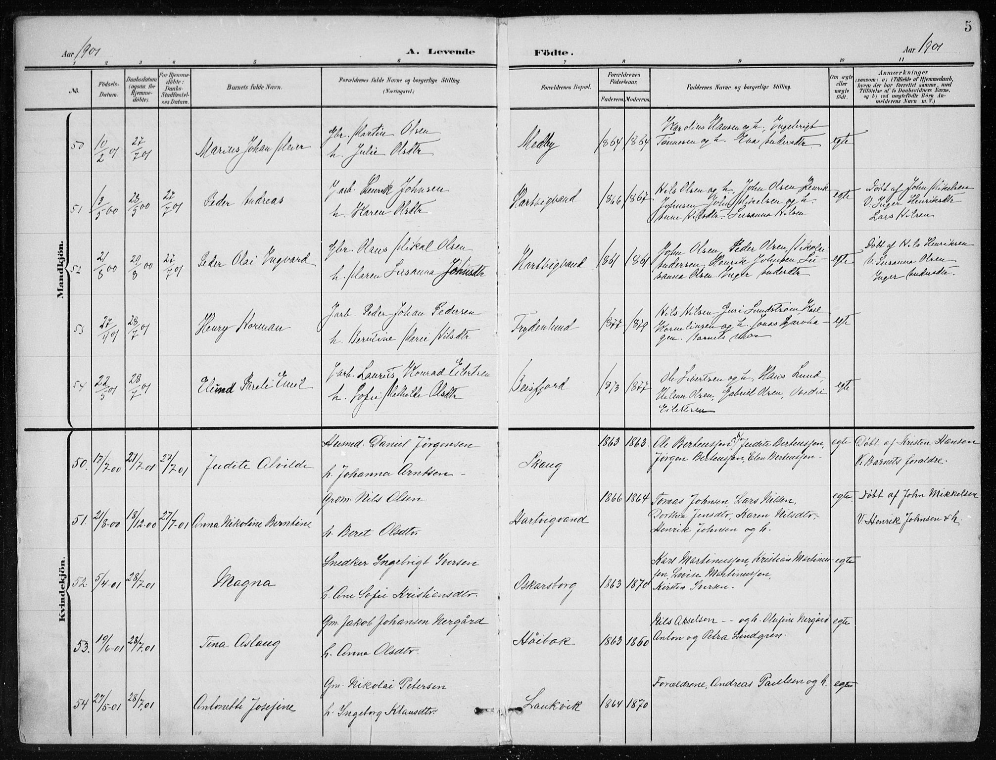 Ministerialprotokoller, klokkerbøker og fødselsregistre - Nordland, SAT/A-1459/866/L0941: Parish register (official) no. 866A04, 1901-1917, p. 5