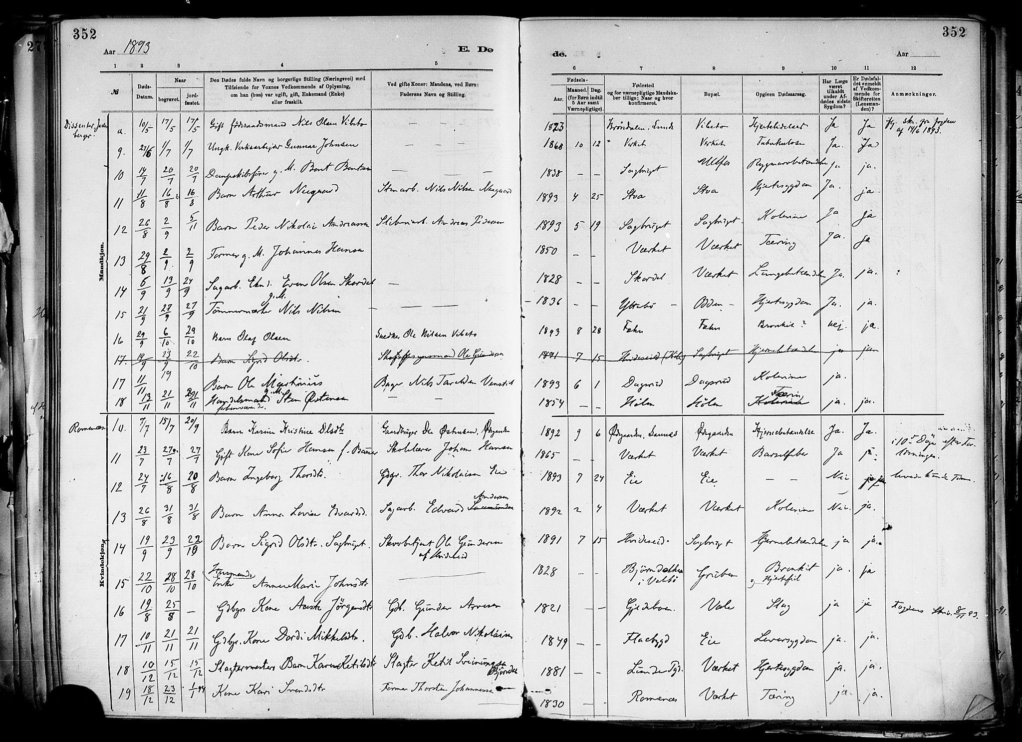 Holla kirkebøker, SAKO/A-272/F/Fa/L0008: Parish register (official) no. 8, 1882-1897, p. 352