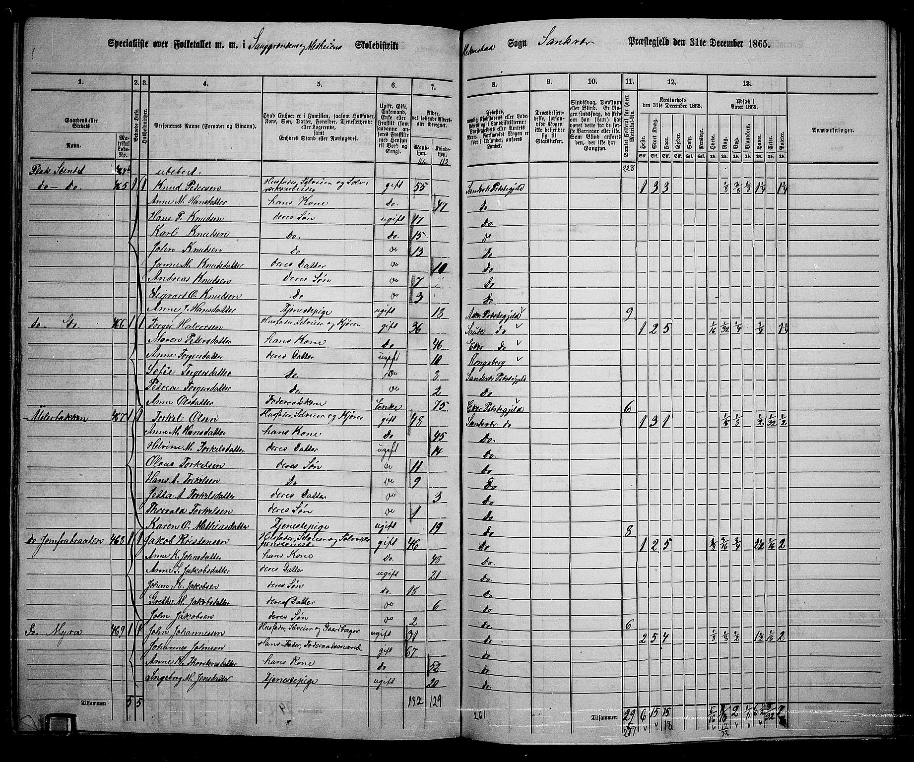 RA, 1865 census for Sandsvær, 1865, p. 160